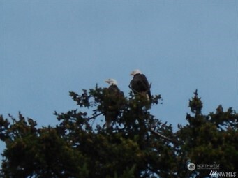 property viewer photo 5
