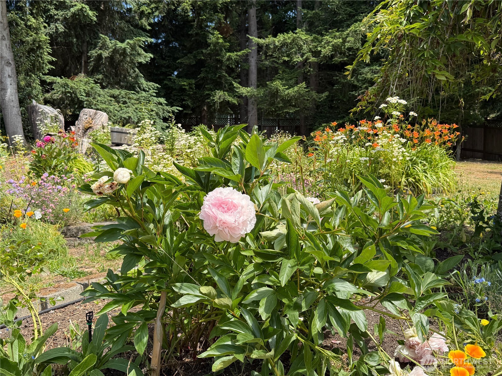 property viewer photo 33