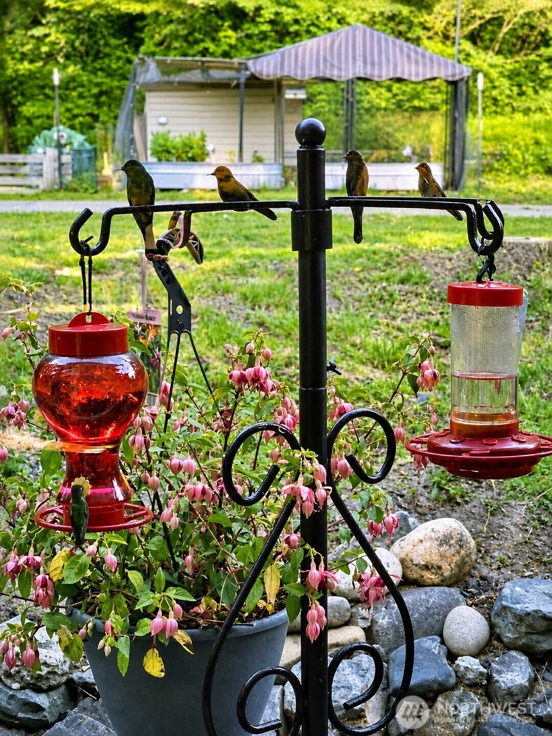 property viewer photo 39