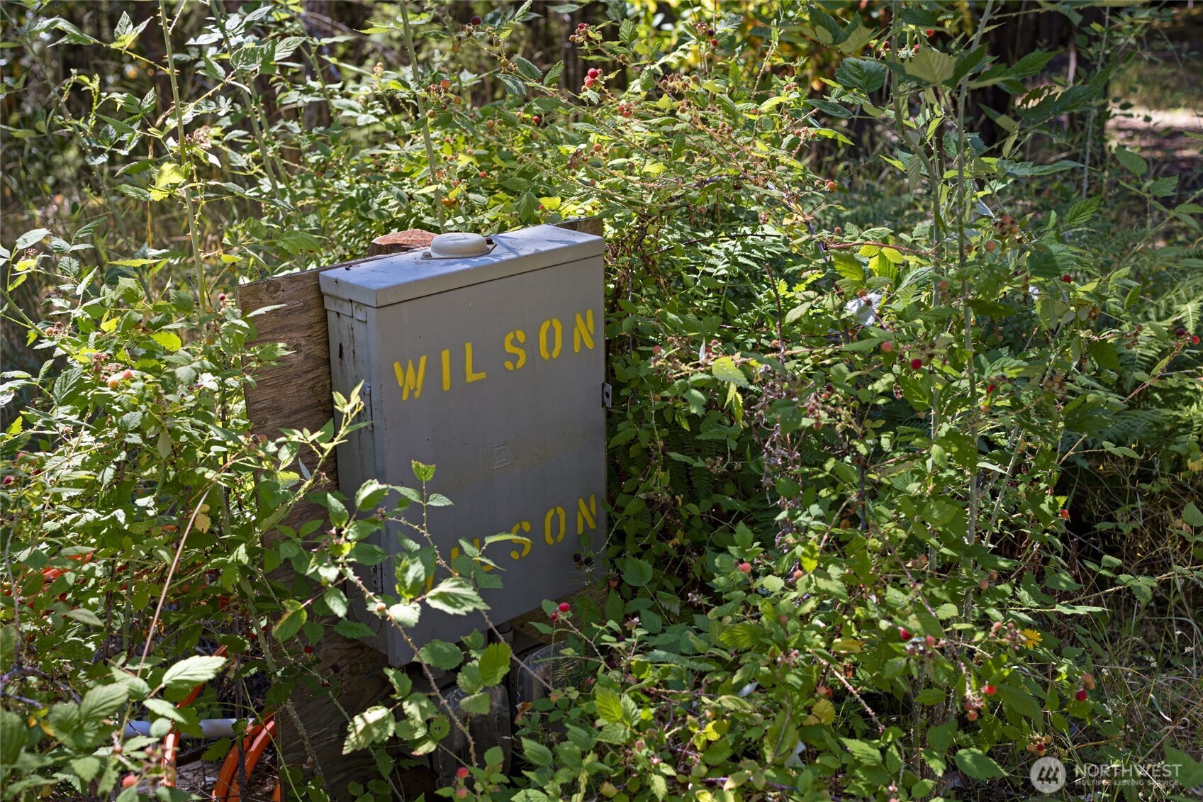 main property photo 19