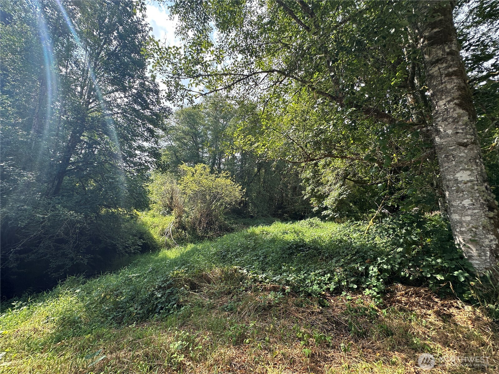 property viewer photo 24