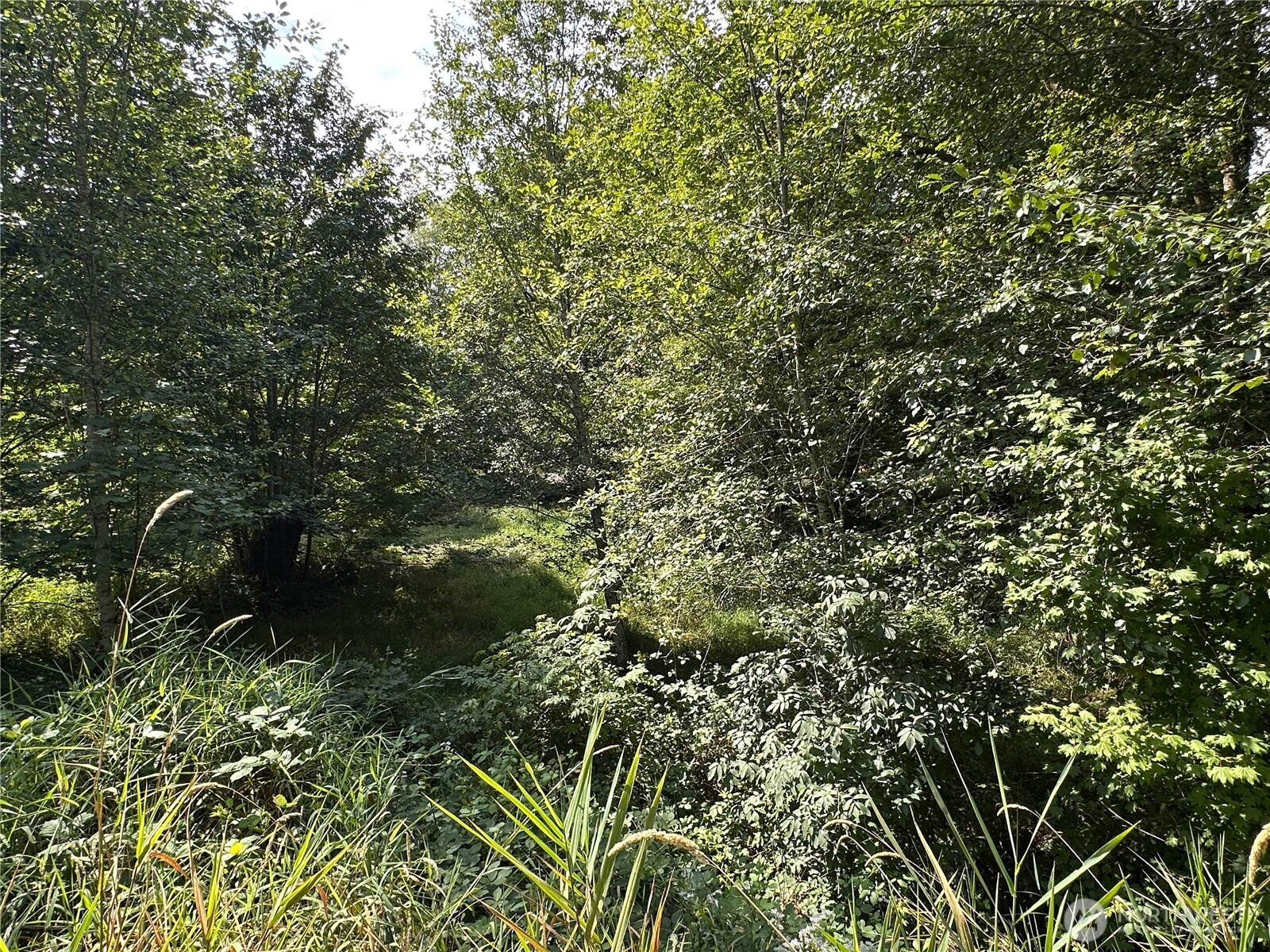 property viewer photo 27