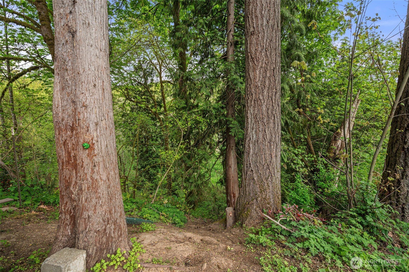 property viewer photo 27