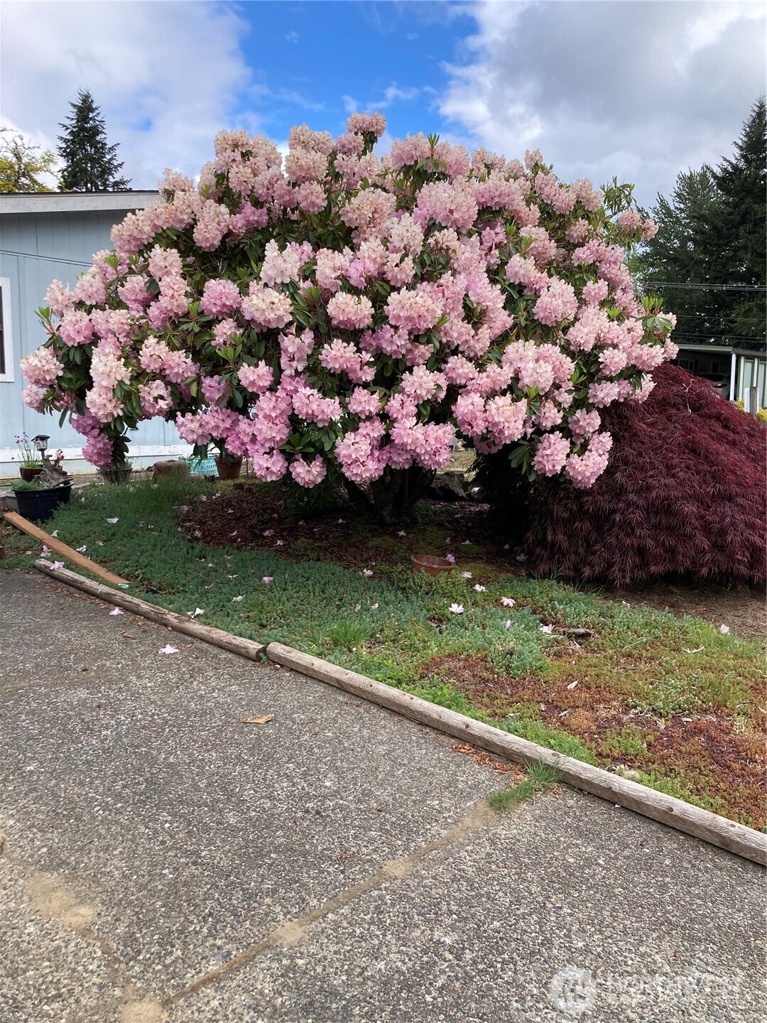 property viewer photo 33