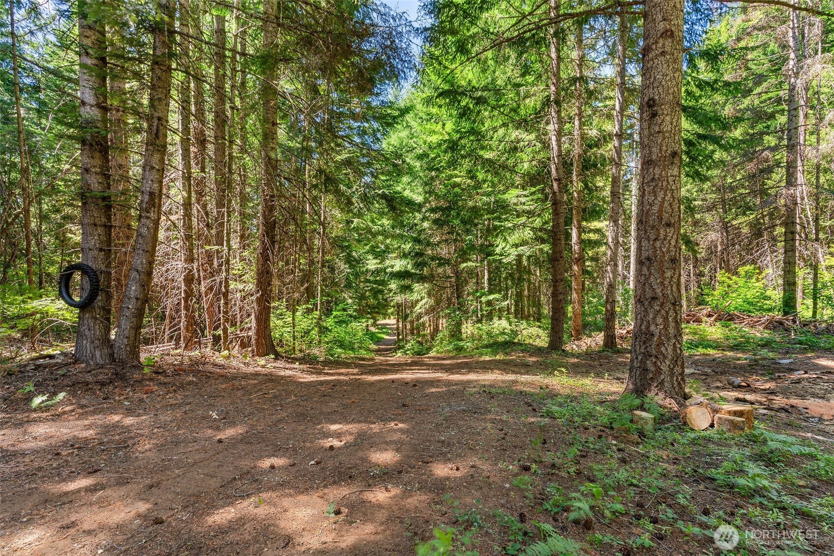 main property photo 11