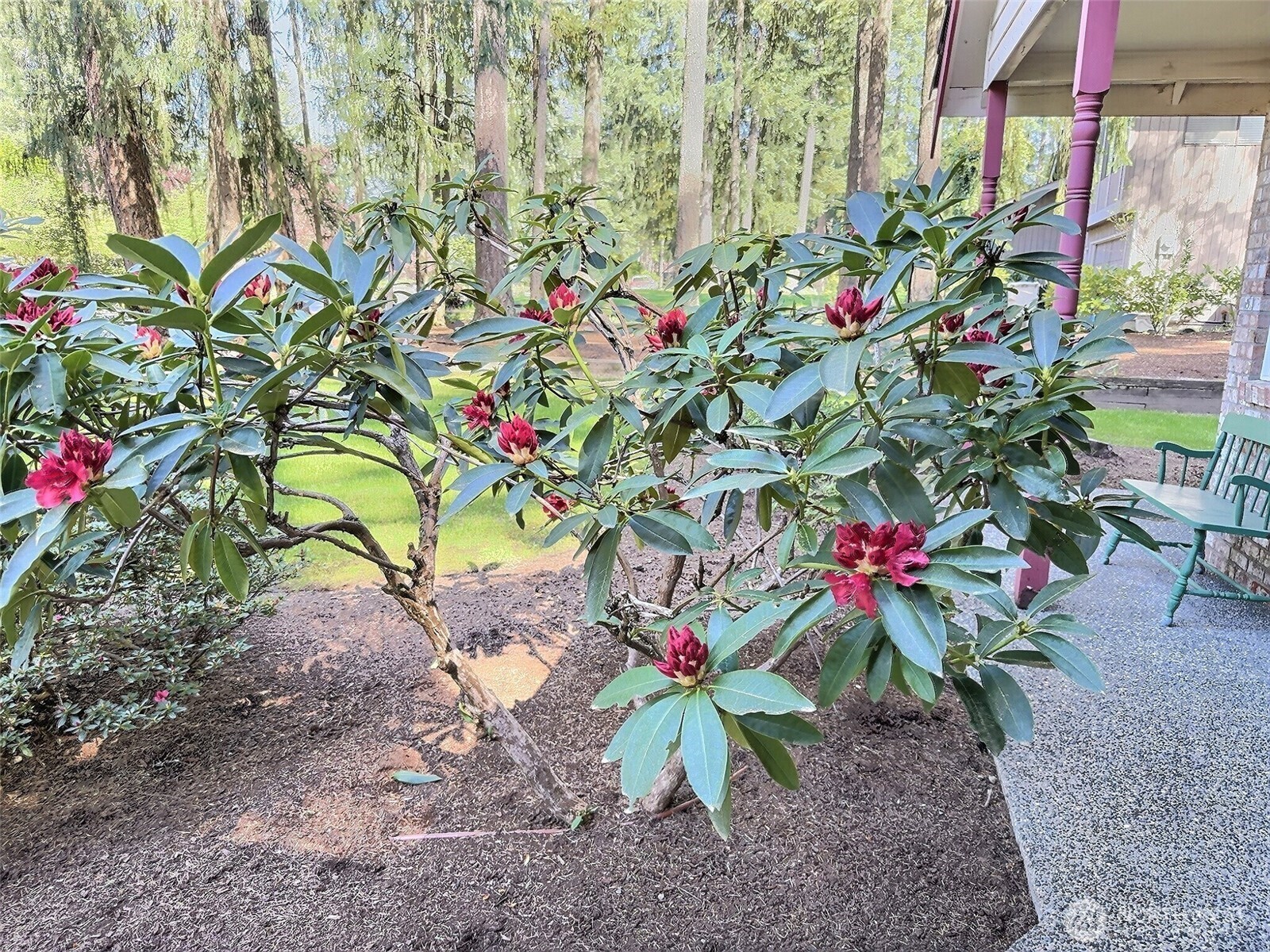 main property photo 31