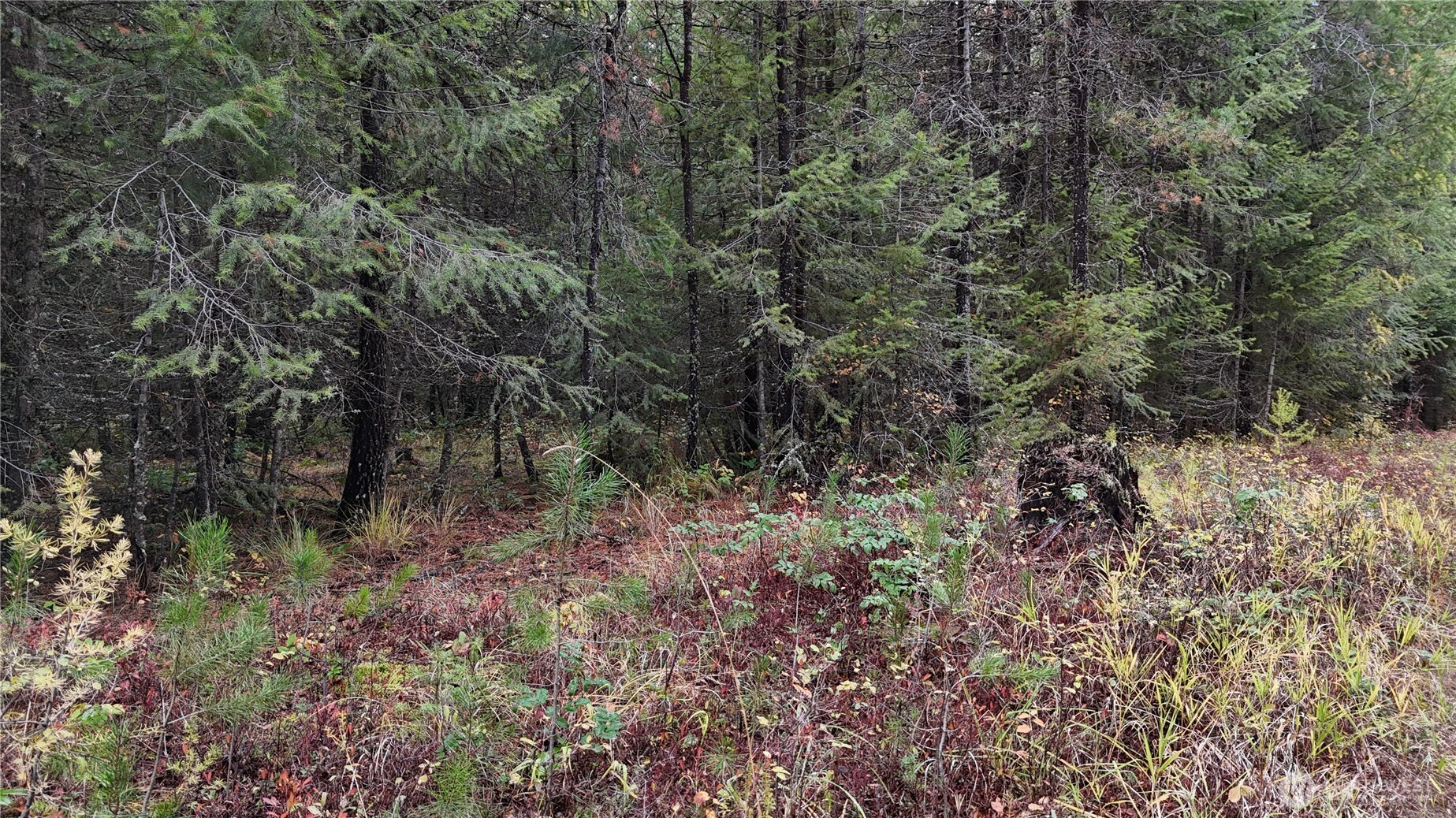 main property photo 25