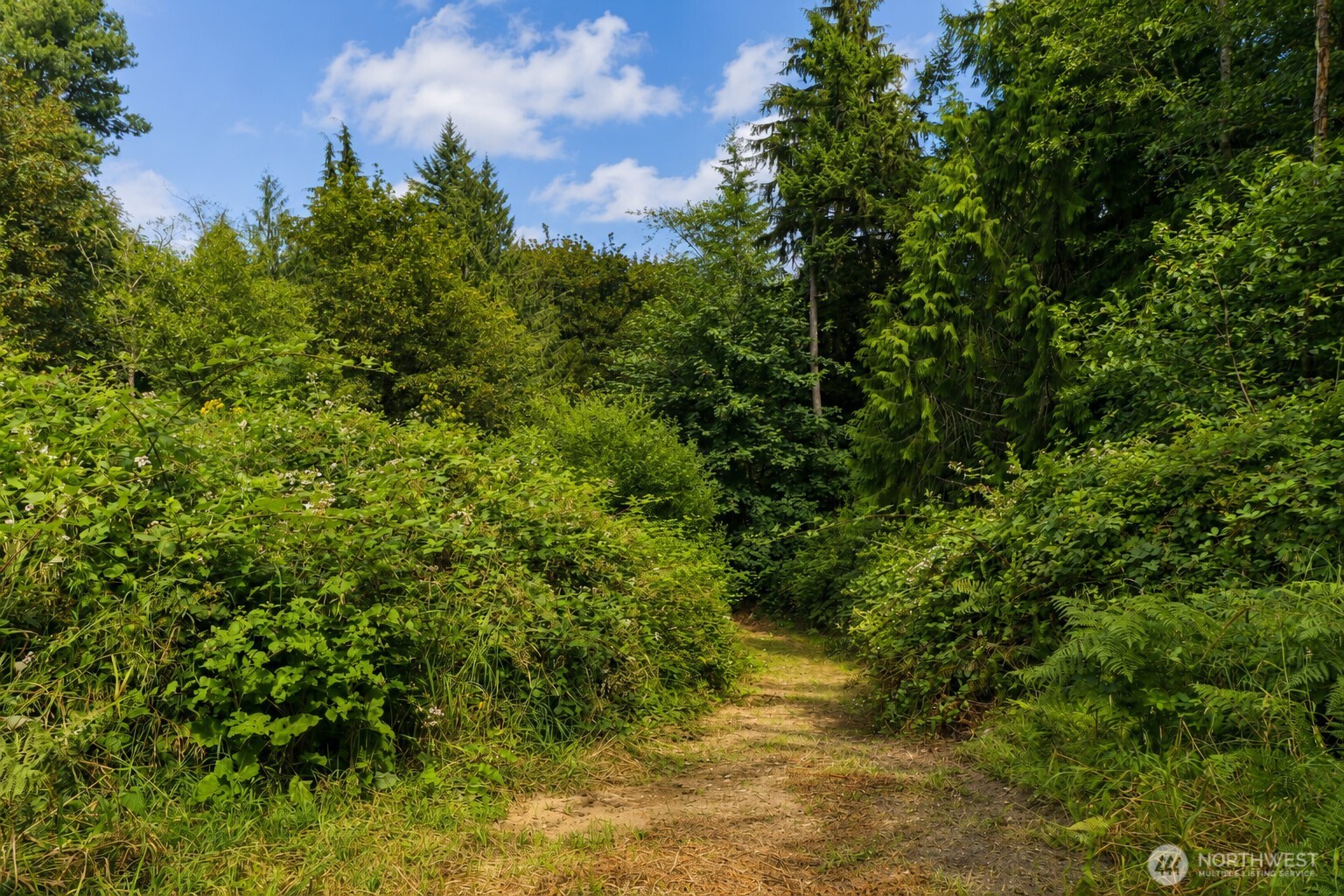 property viewer photo 27