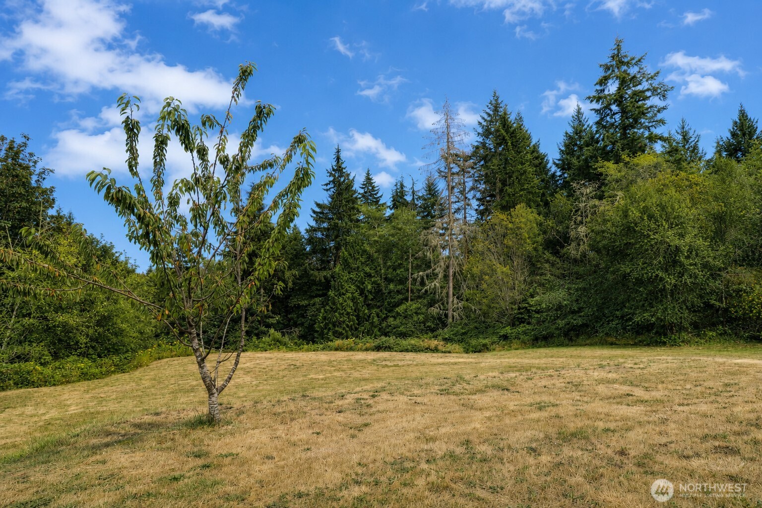 property viewer photo 30
