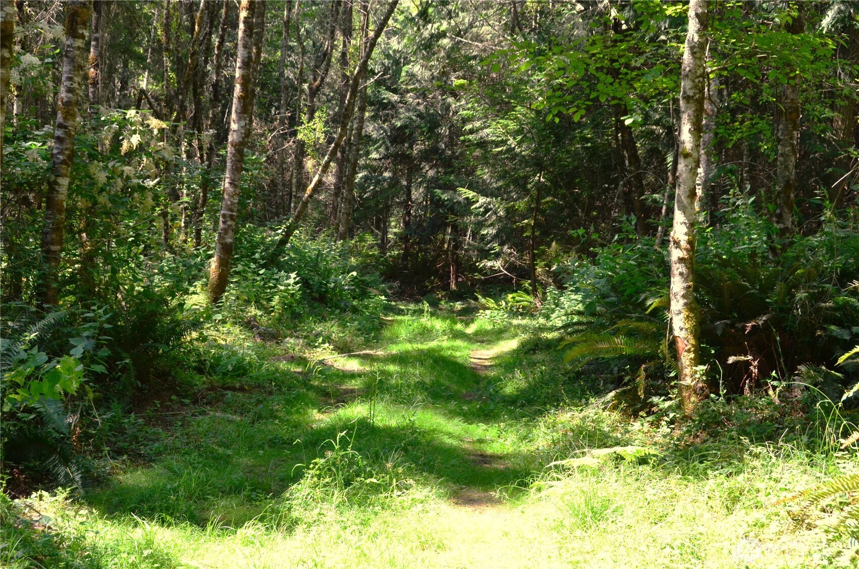 main property photo 0