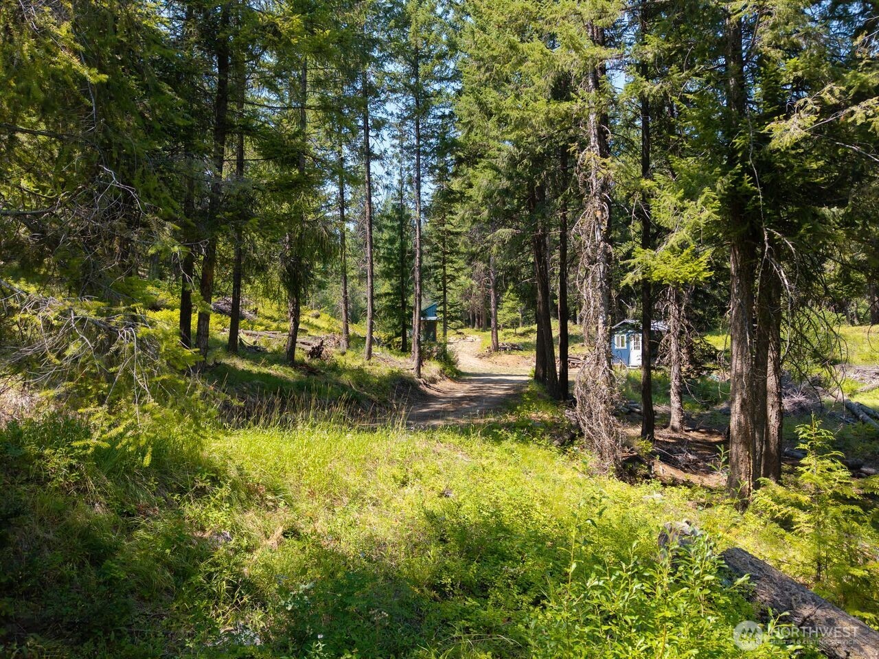 main property photo 31