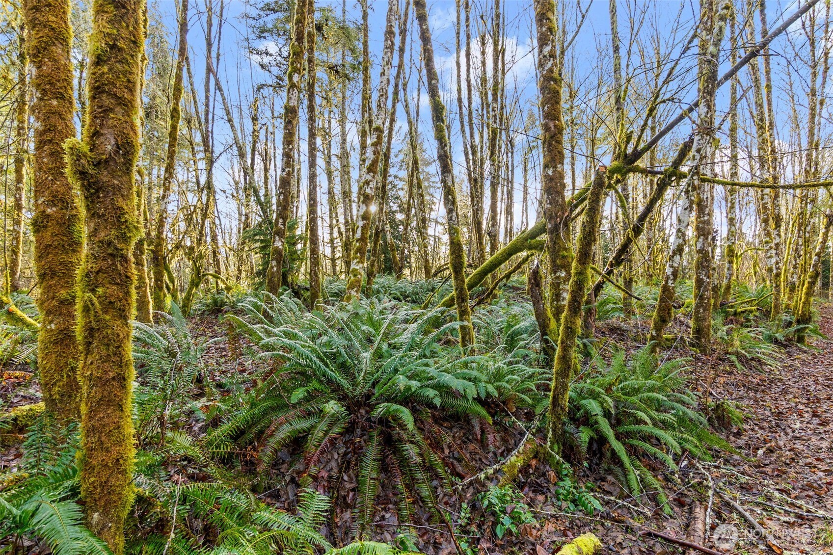 main property photo 18