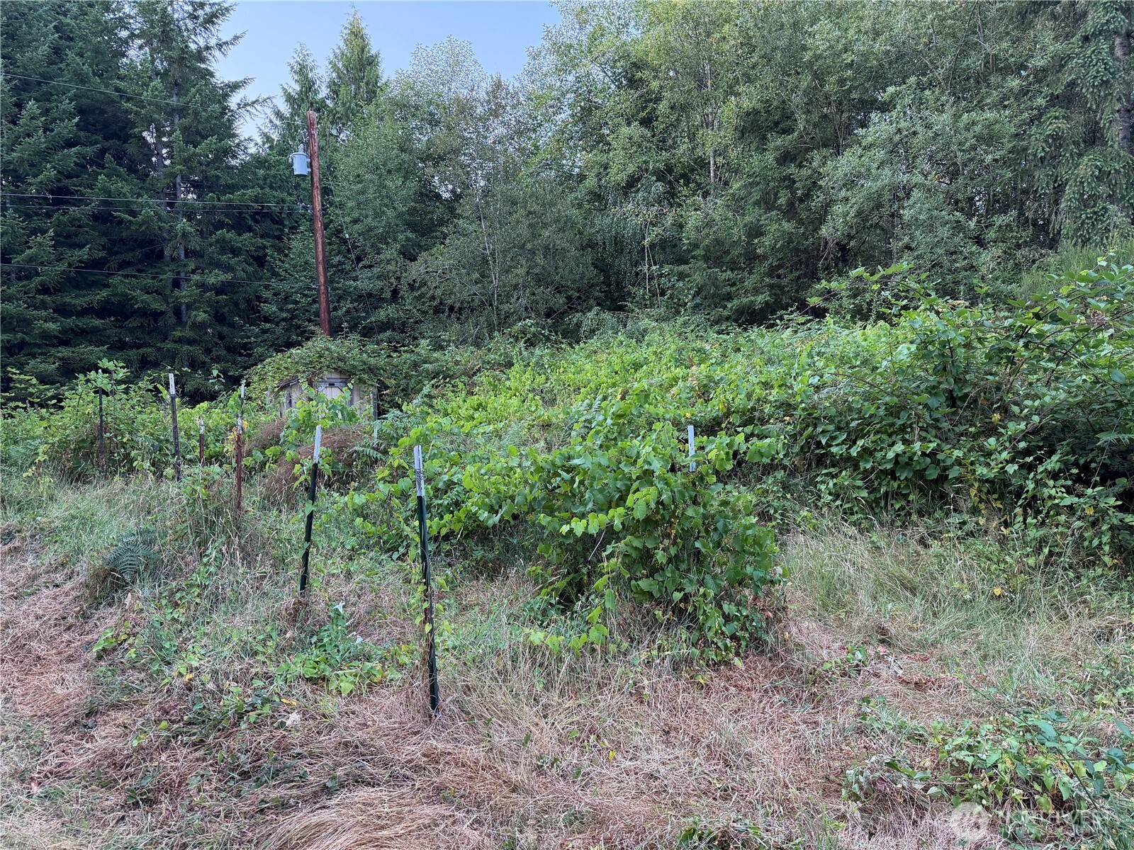 main property photo 30