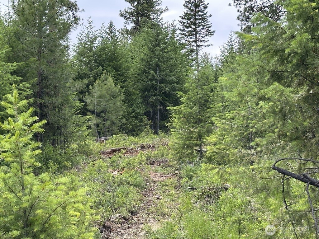 main property photo 0