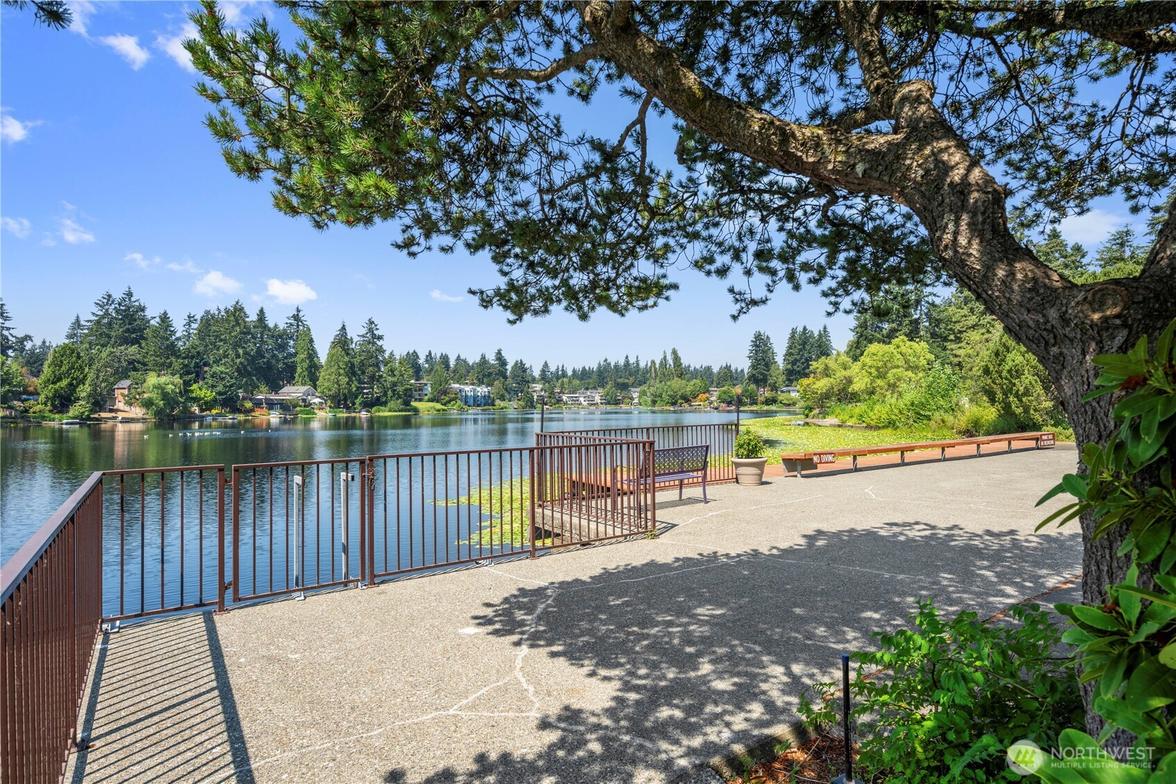 property viewer photo 24