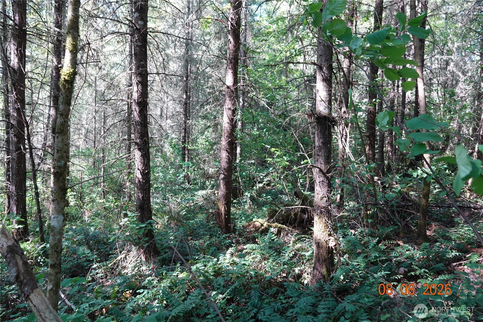 main property photo 11