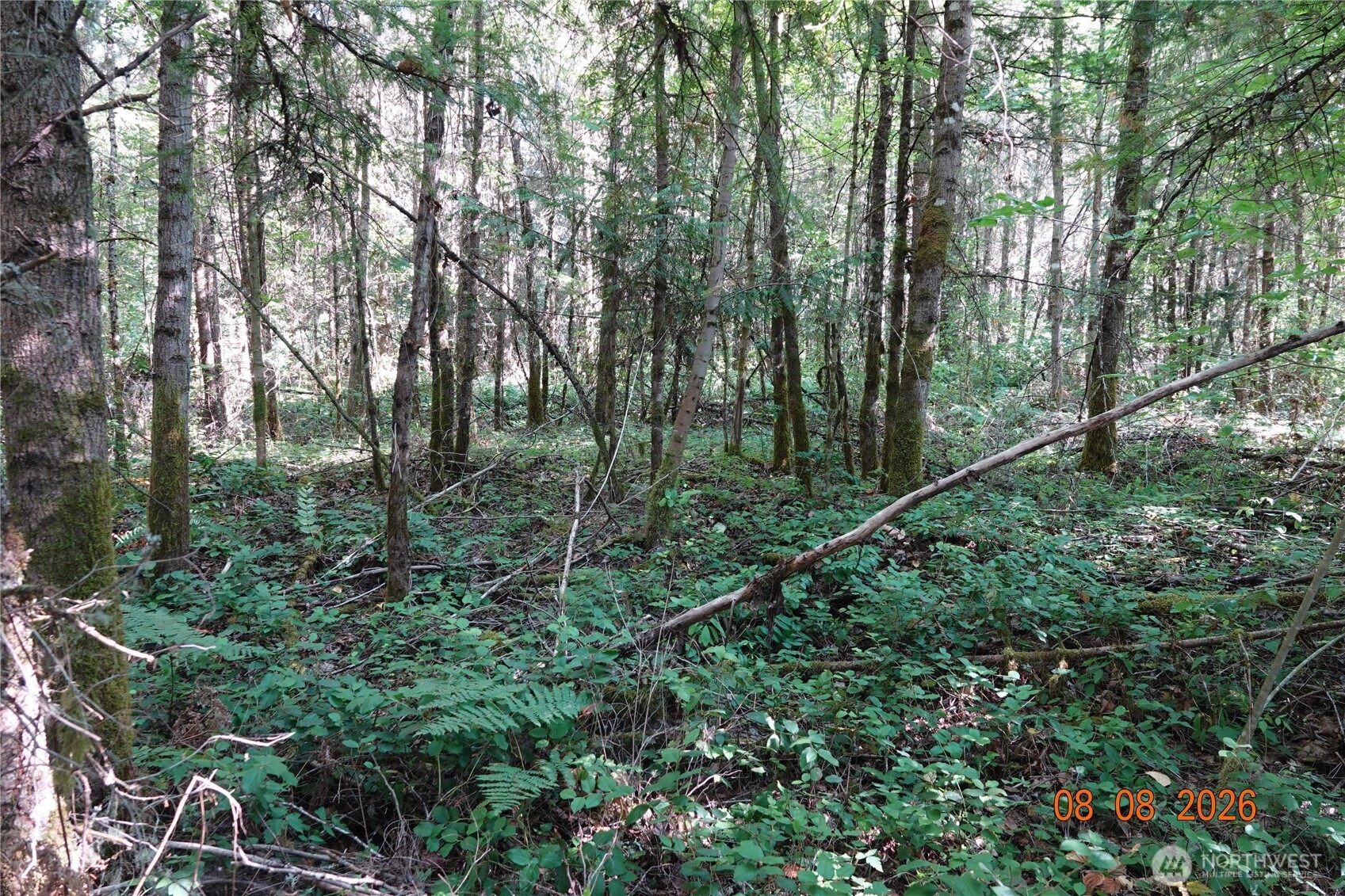 main property photo 12