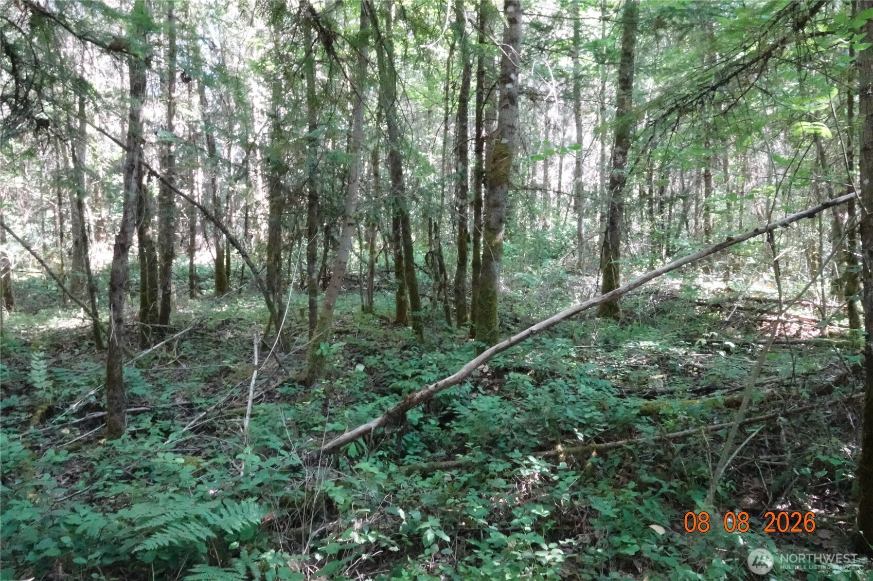 main property photo 13