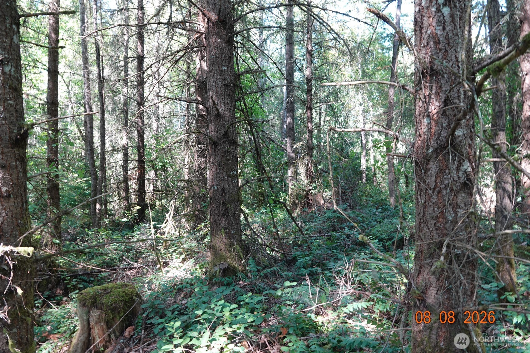 main property photo 8