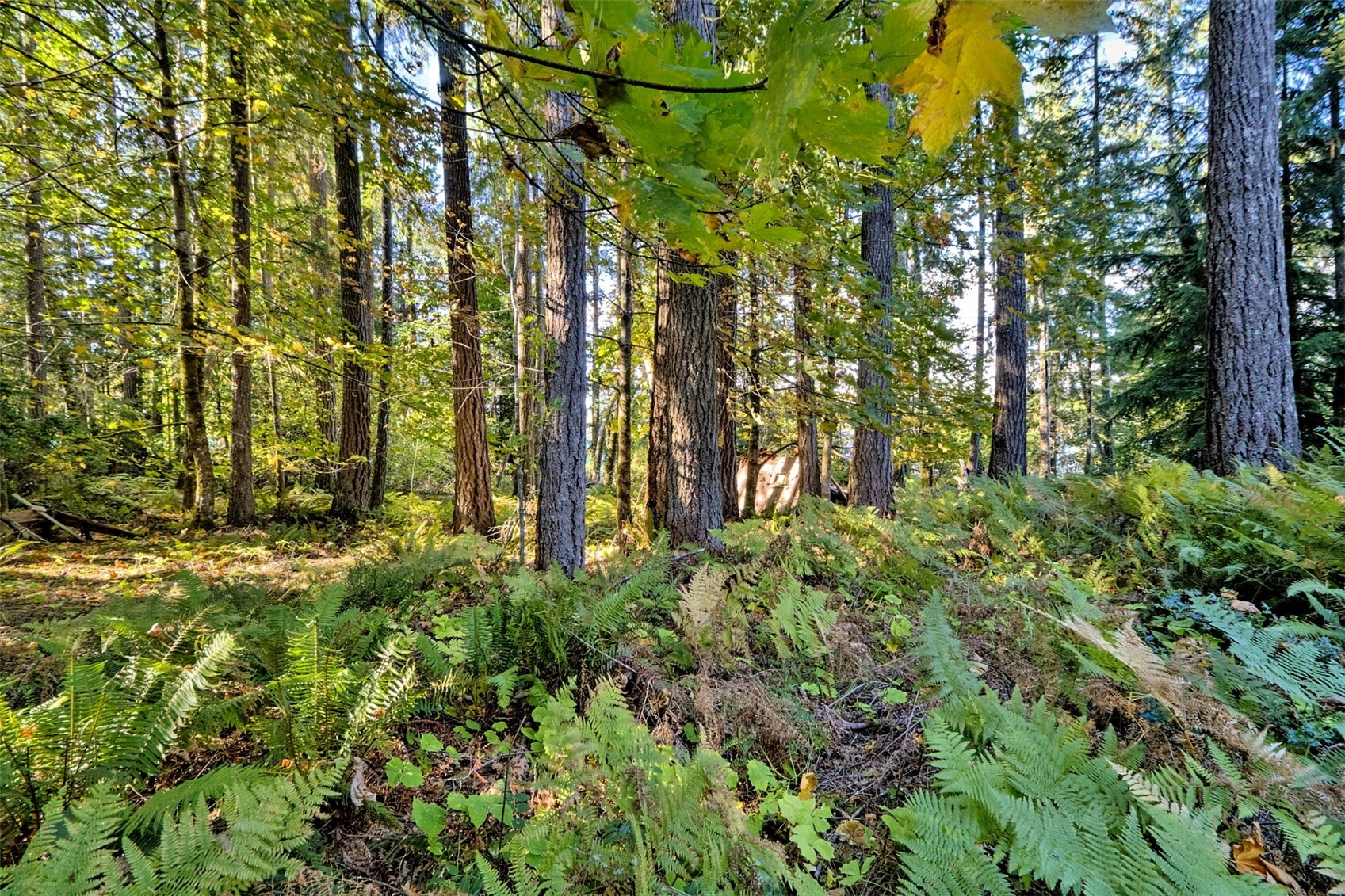 main property photo 16