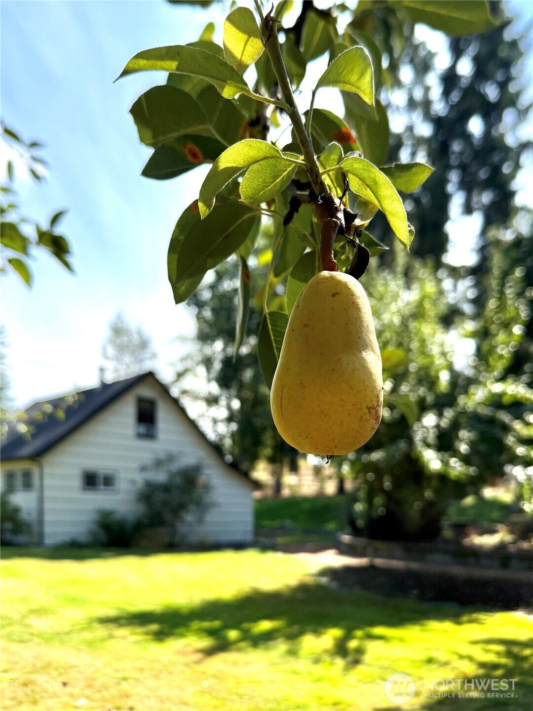 property viewer photo 10