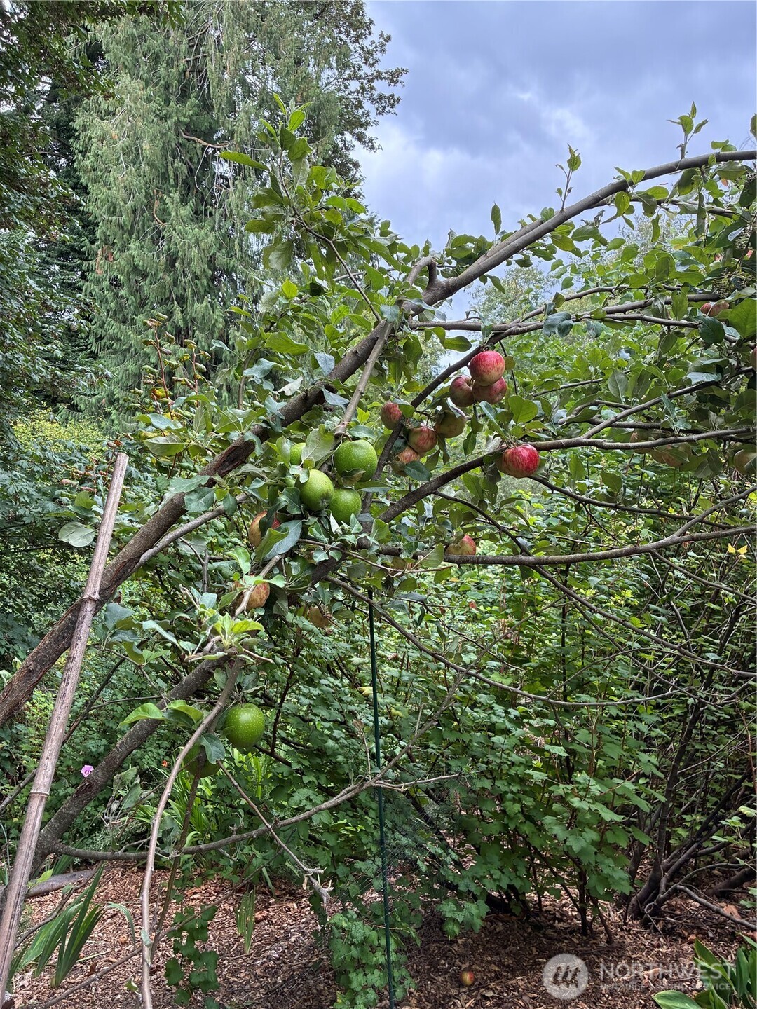 main property photo 29