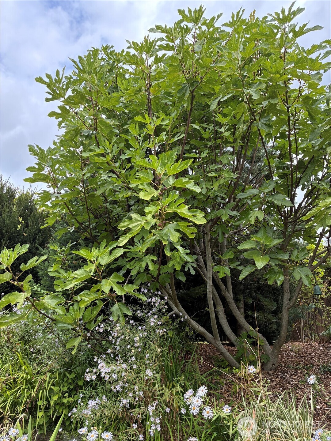 main property photo 38