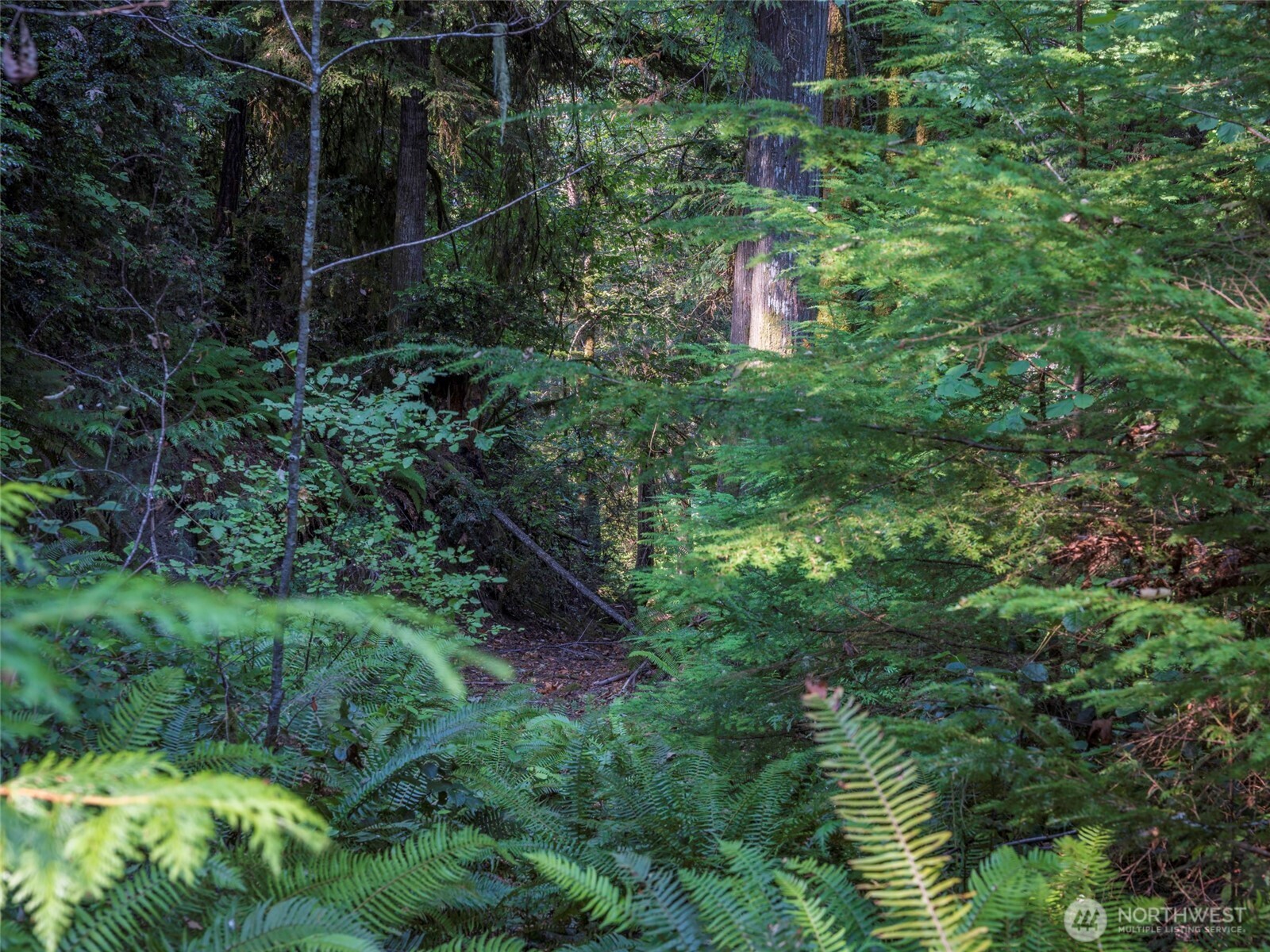 property viewer photo 30