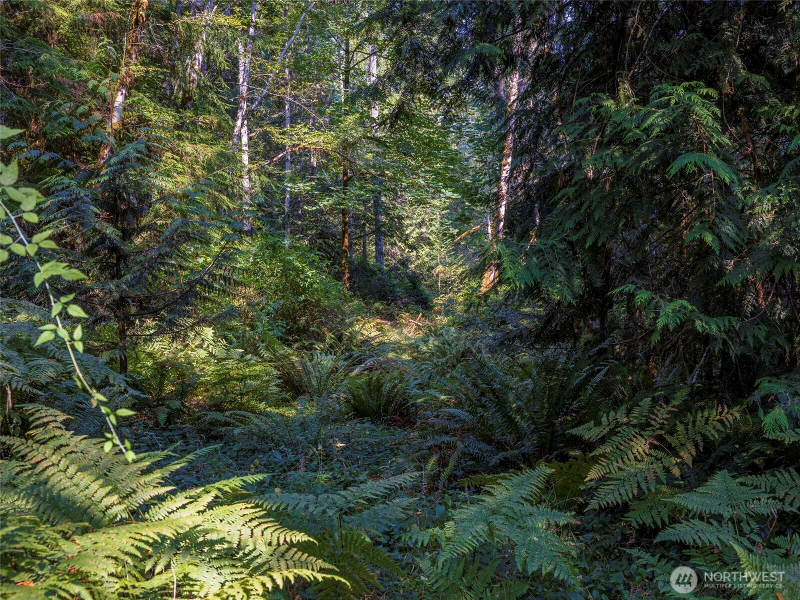 property viewer photo 31