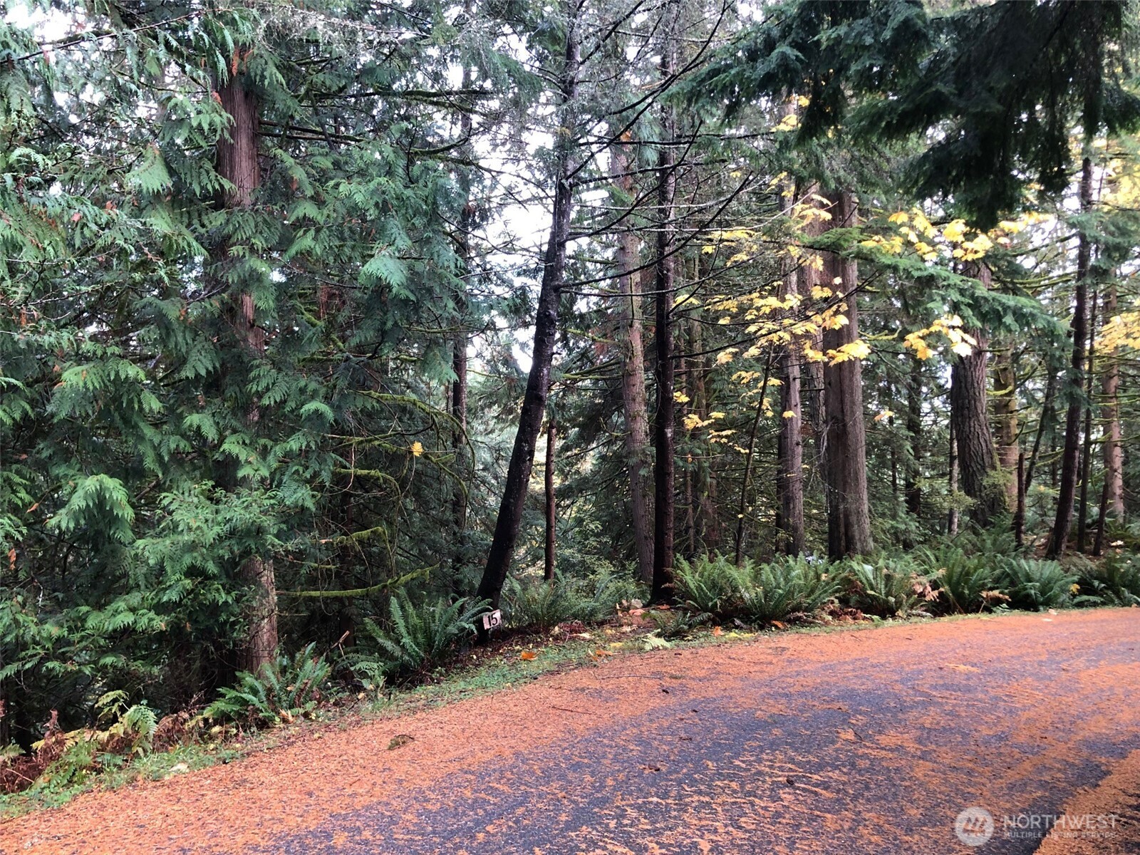 property viewer photo 1