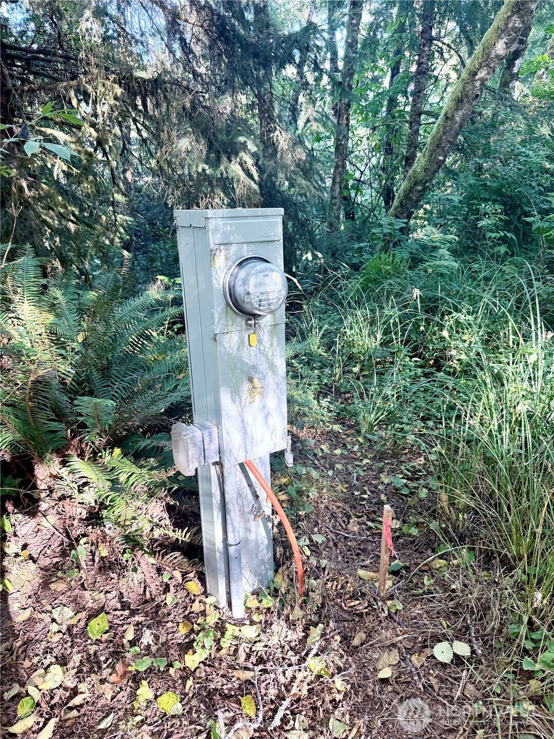 main property photo 22