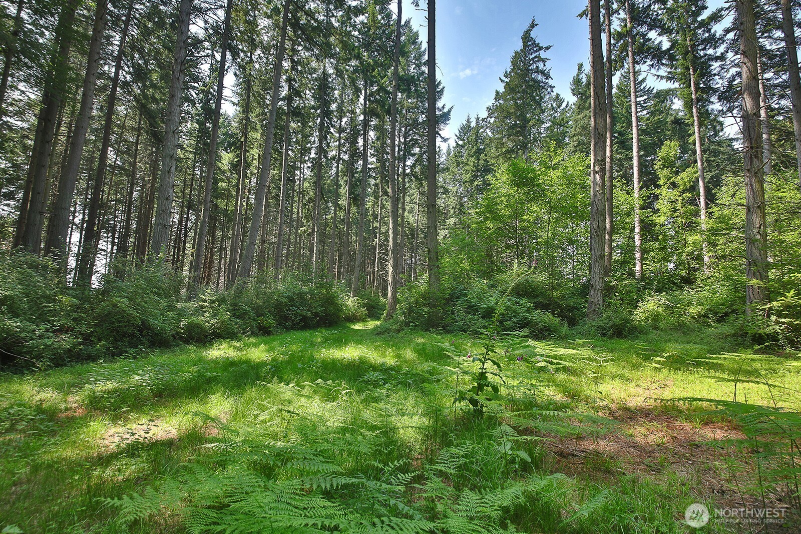 main property photo 0