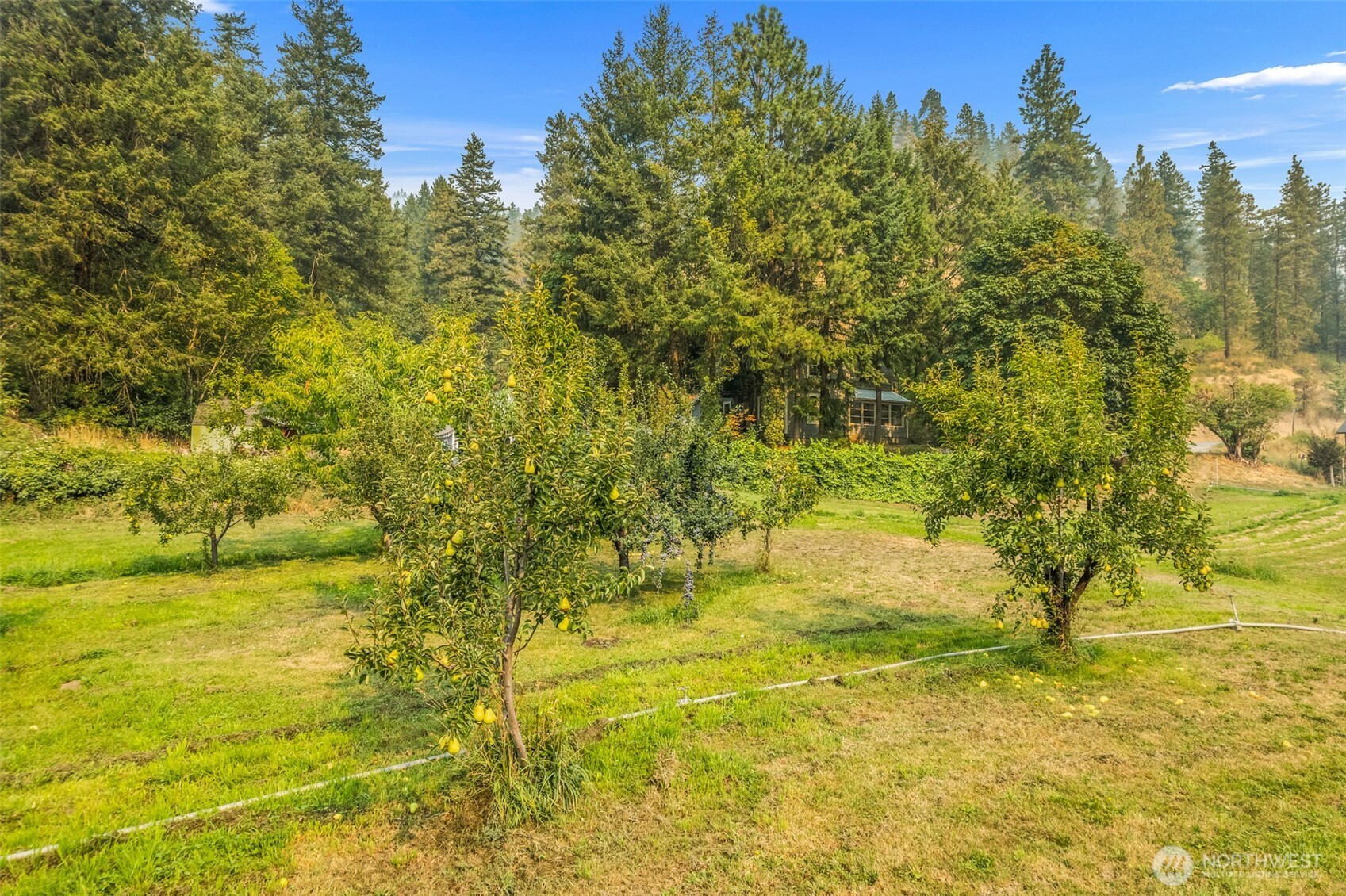 main property photo 31