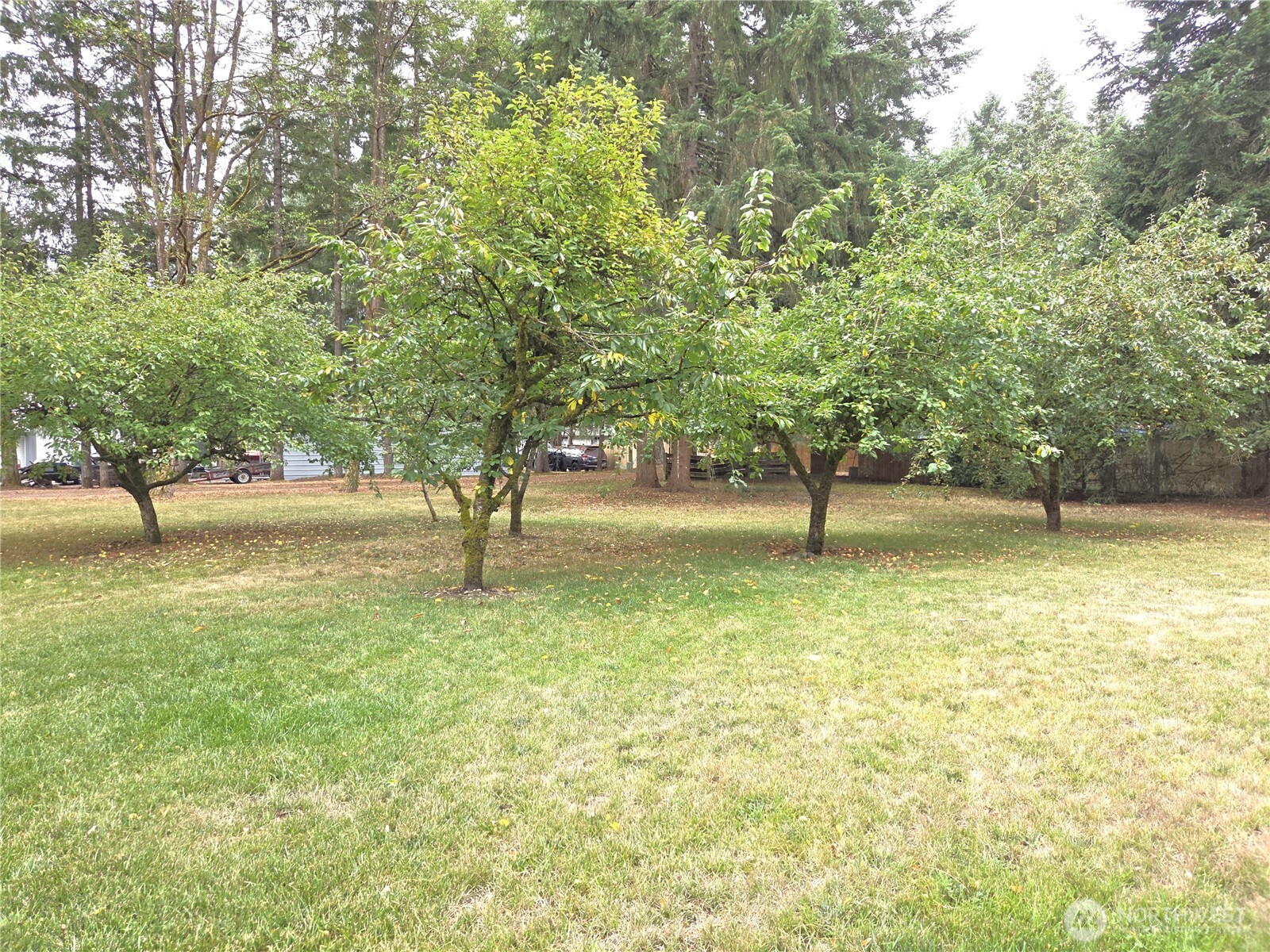 property viewer photo 14