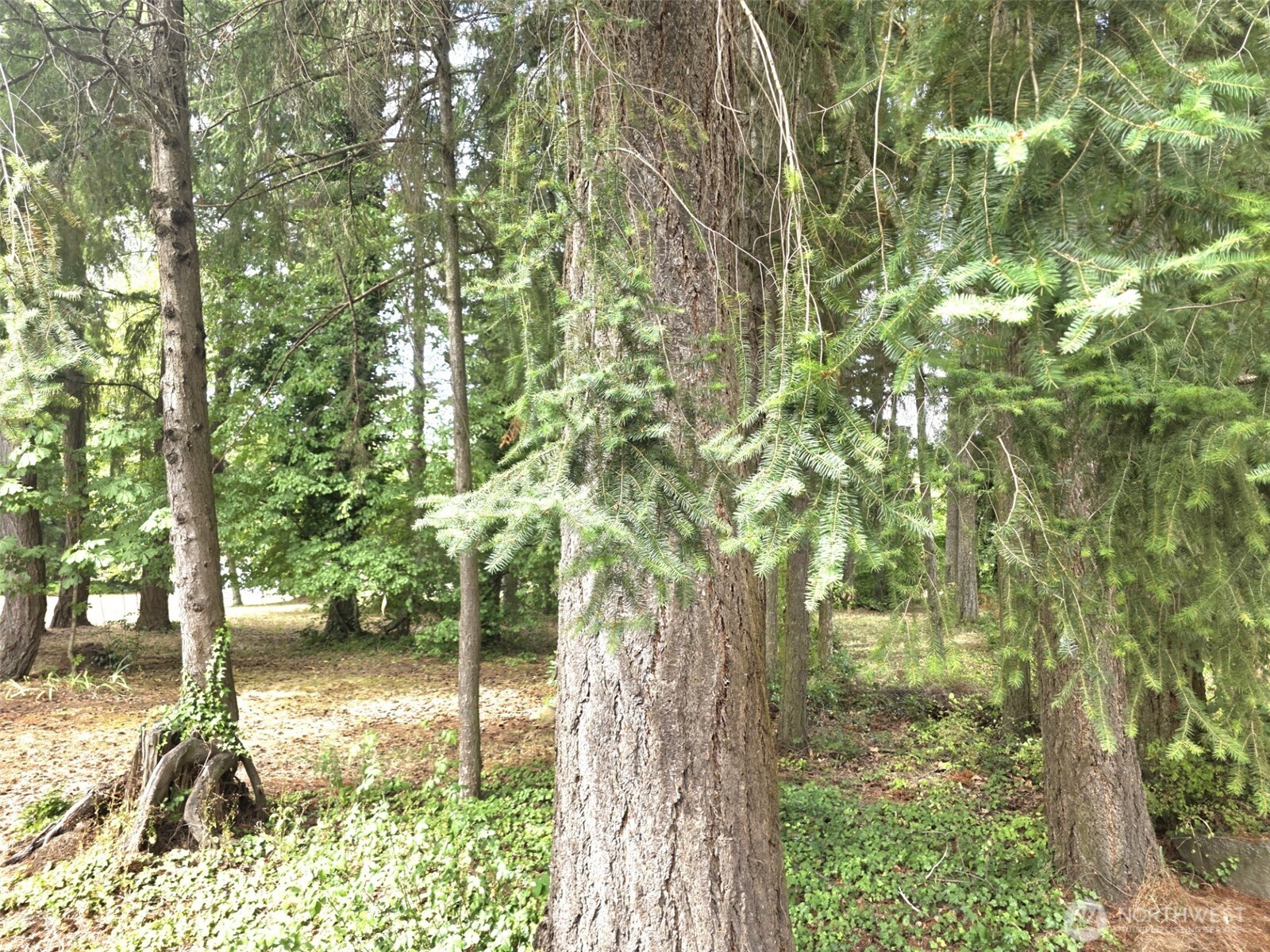 property viewer photo 17