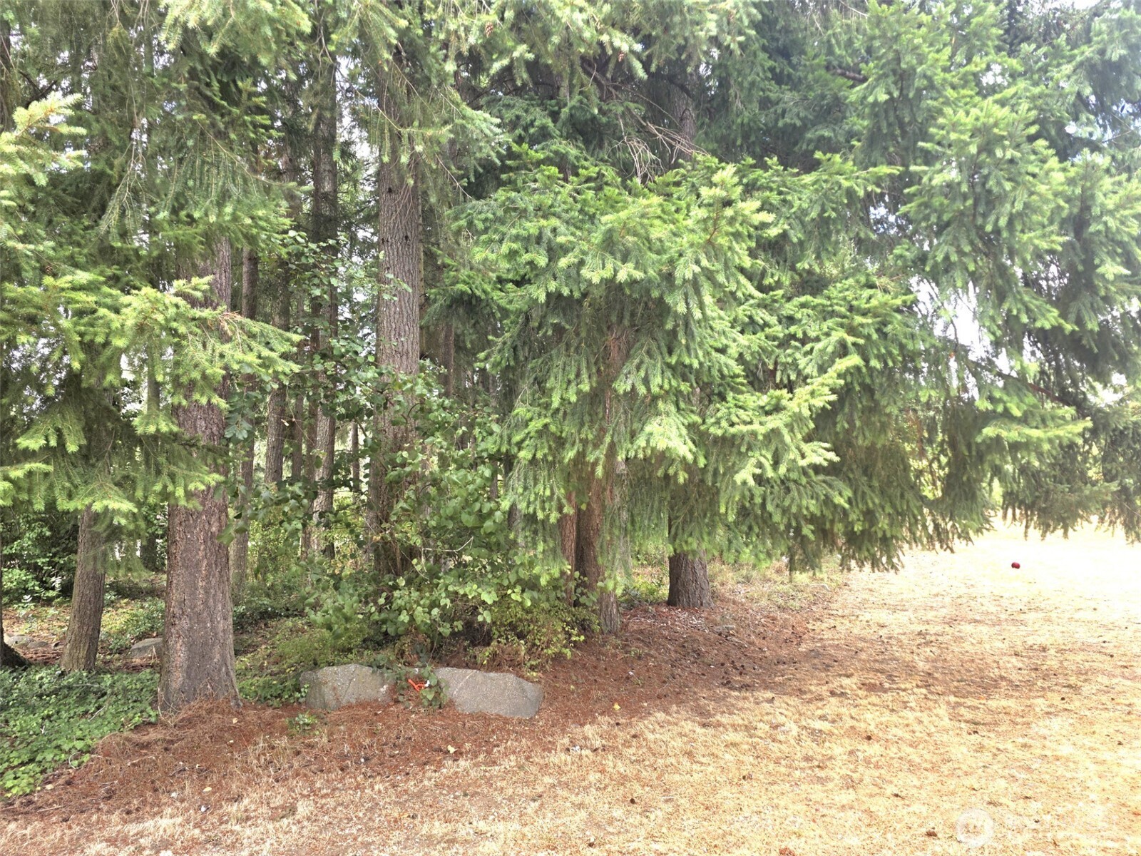 property viewer photo 18