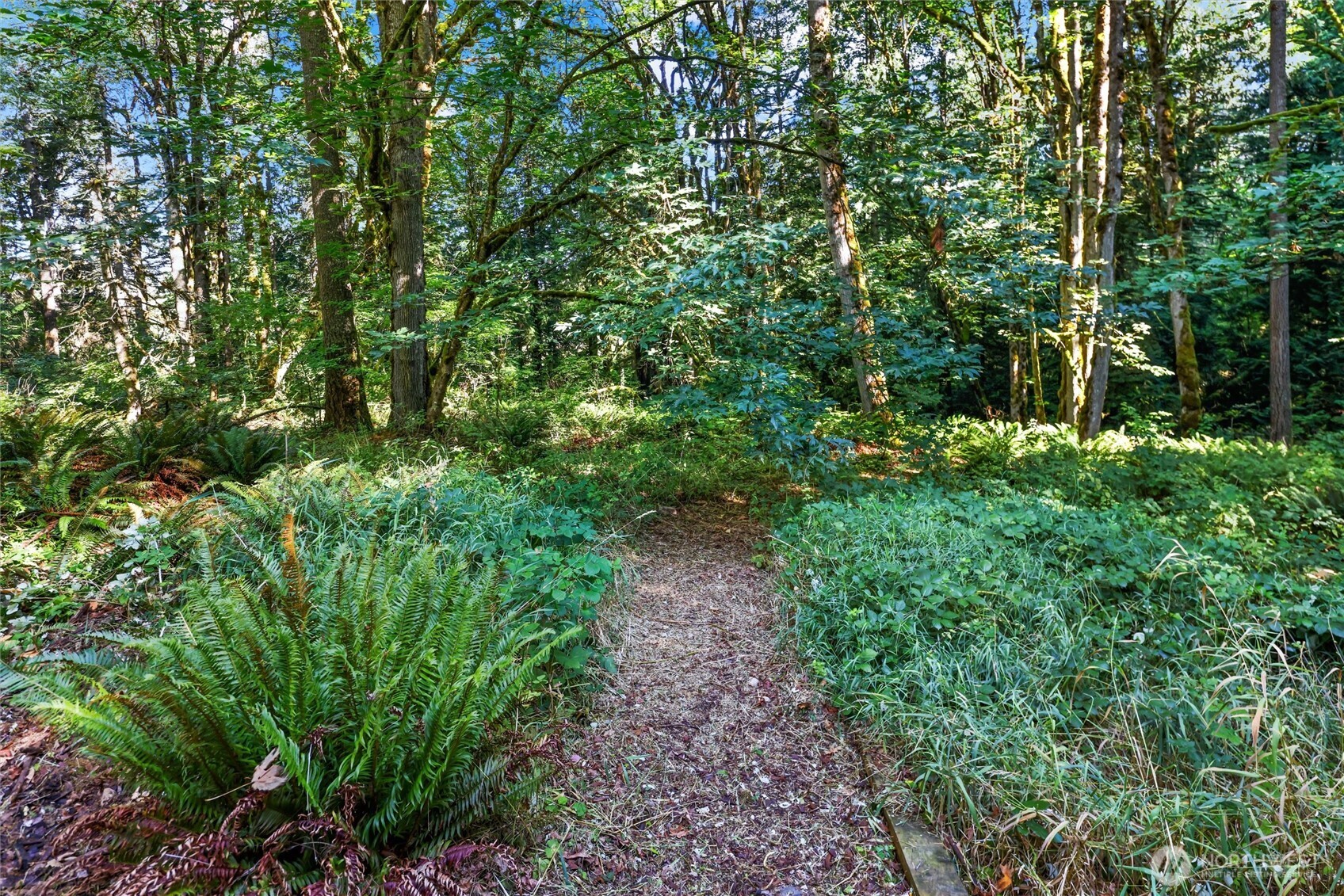 property viewer photo 30