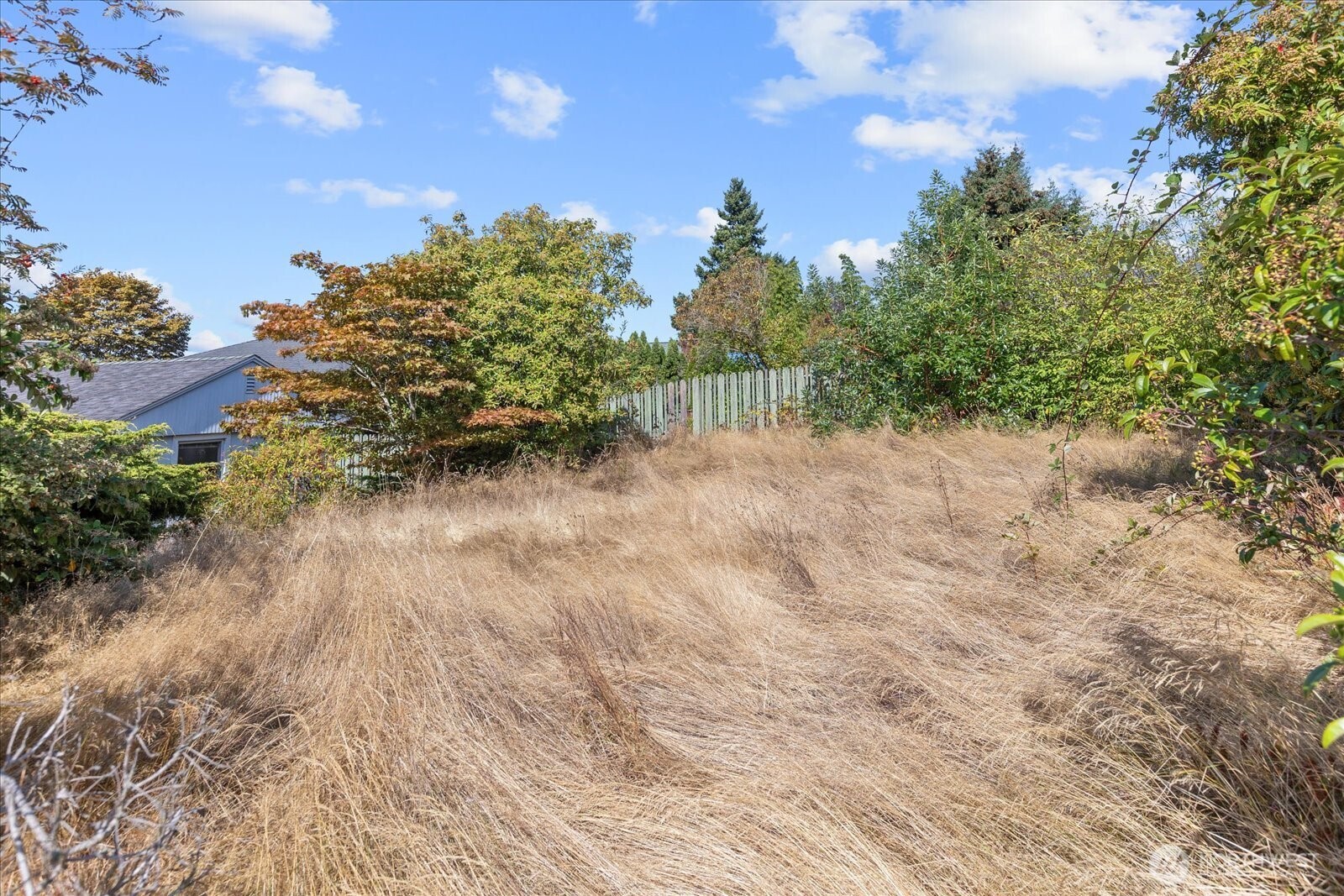 property viewer photo 32