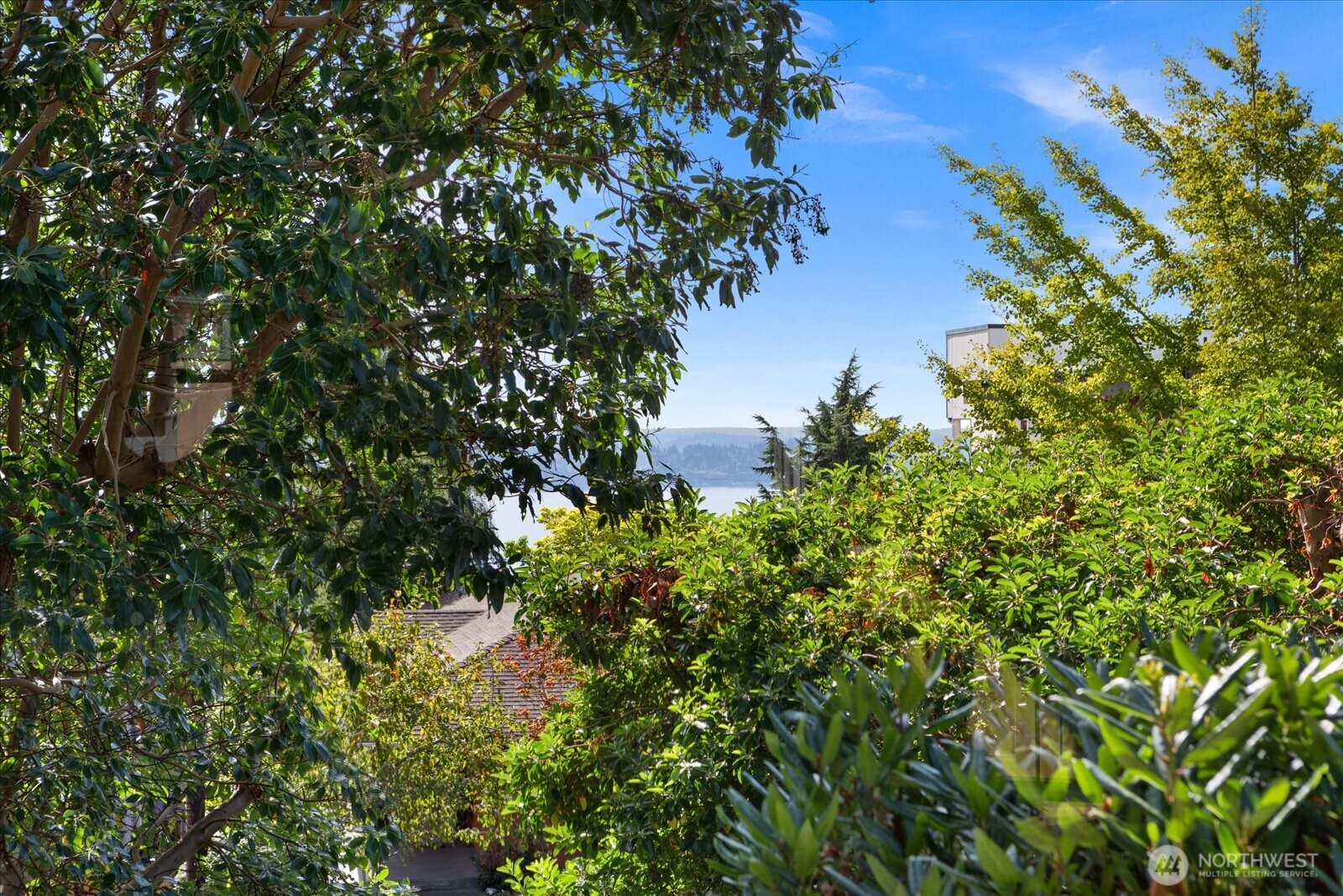 property viewer photo 22
