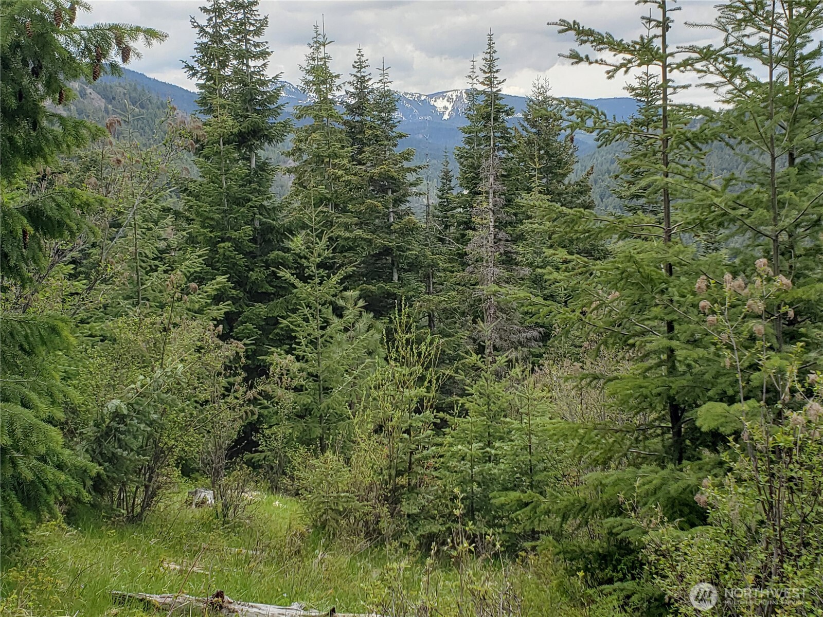 main property photo 0