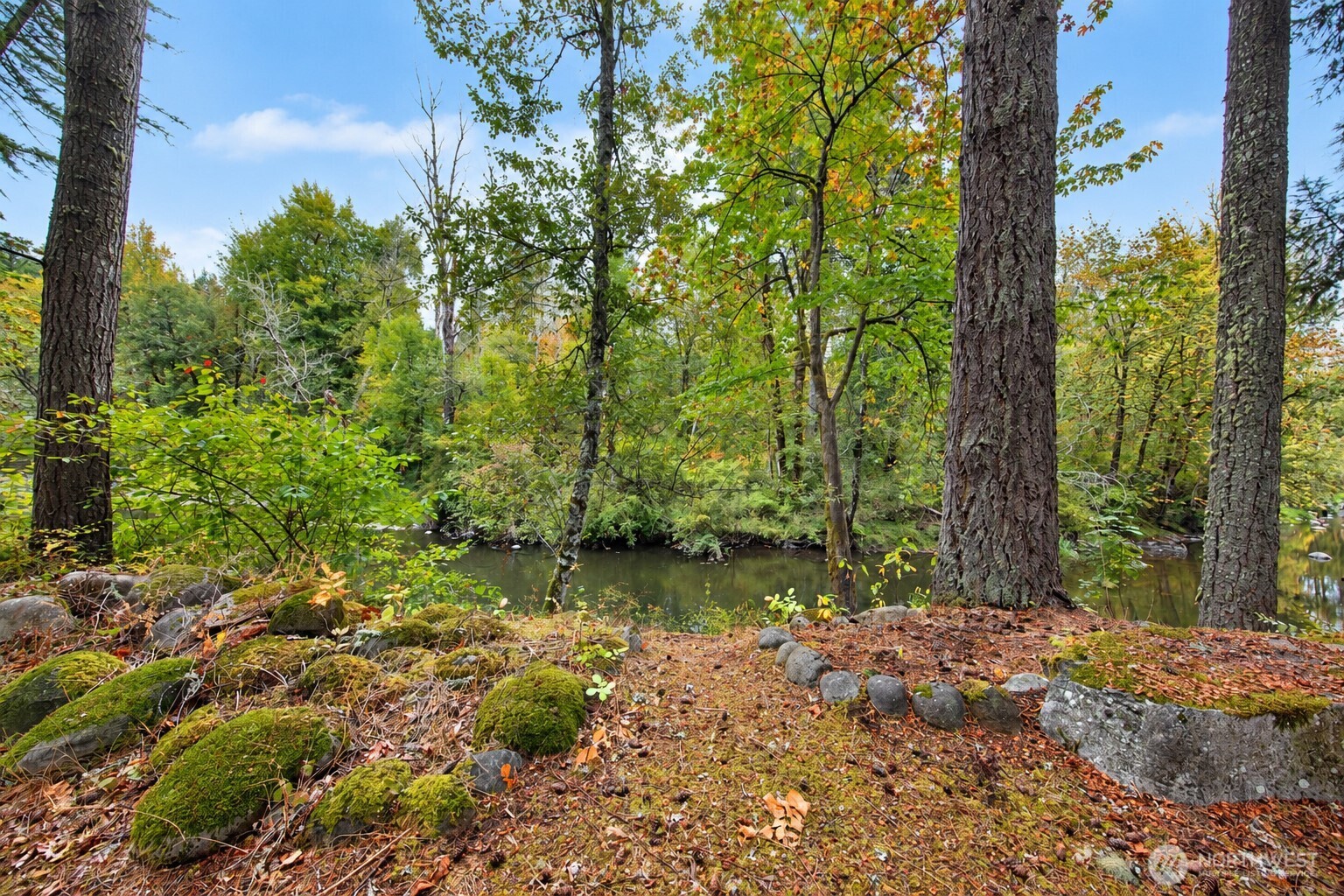 property viewer photo 4