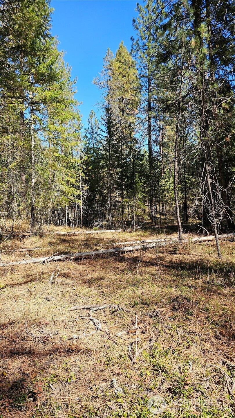 main property photo 10
