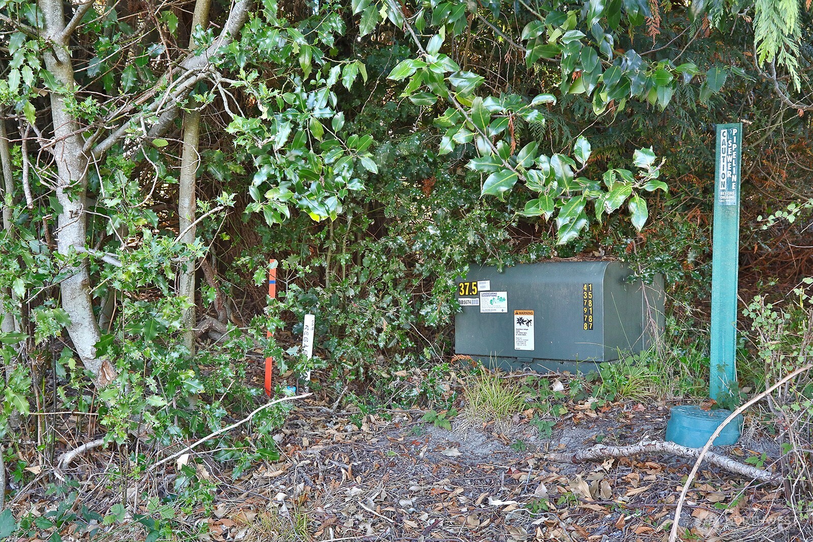 main property photo 11
