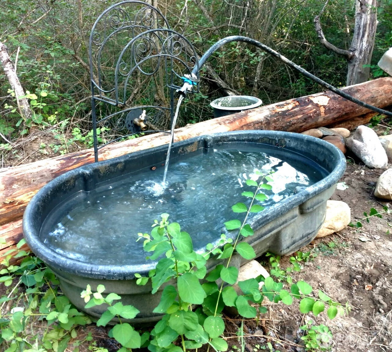 main property photo 6