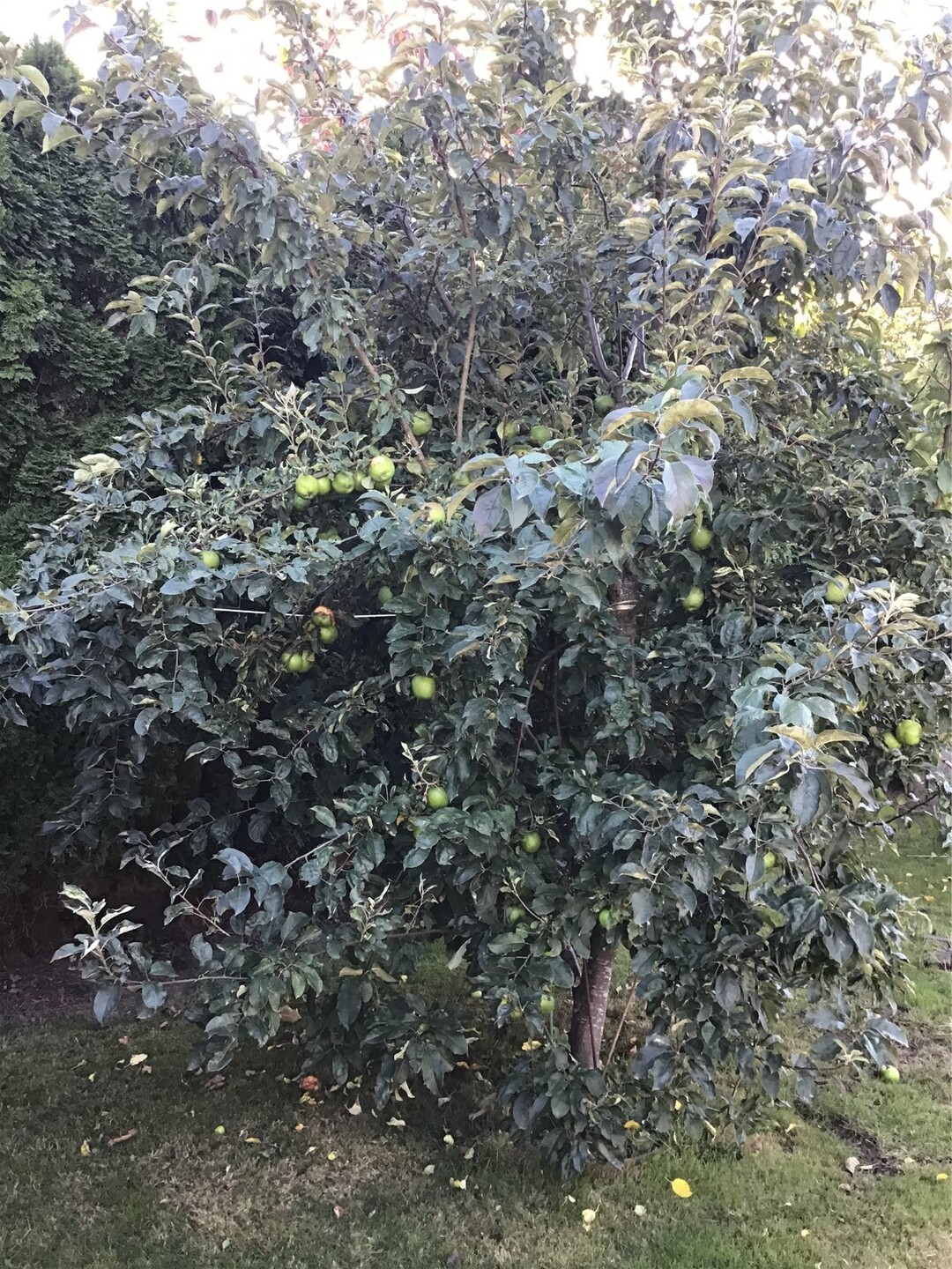 main property photo 10