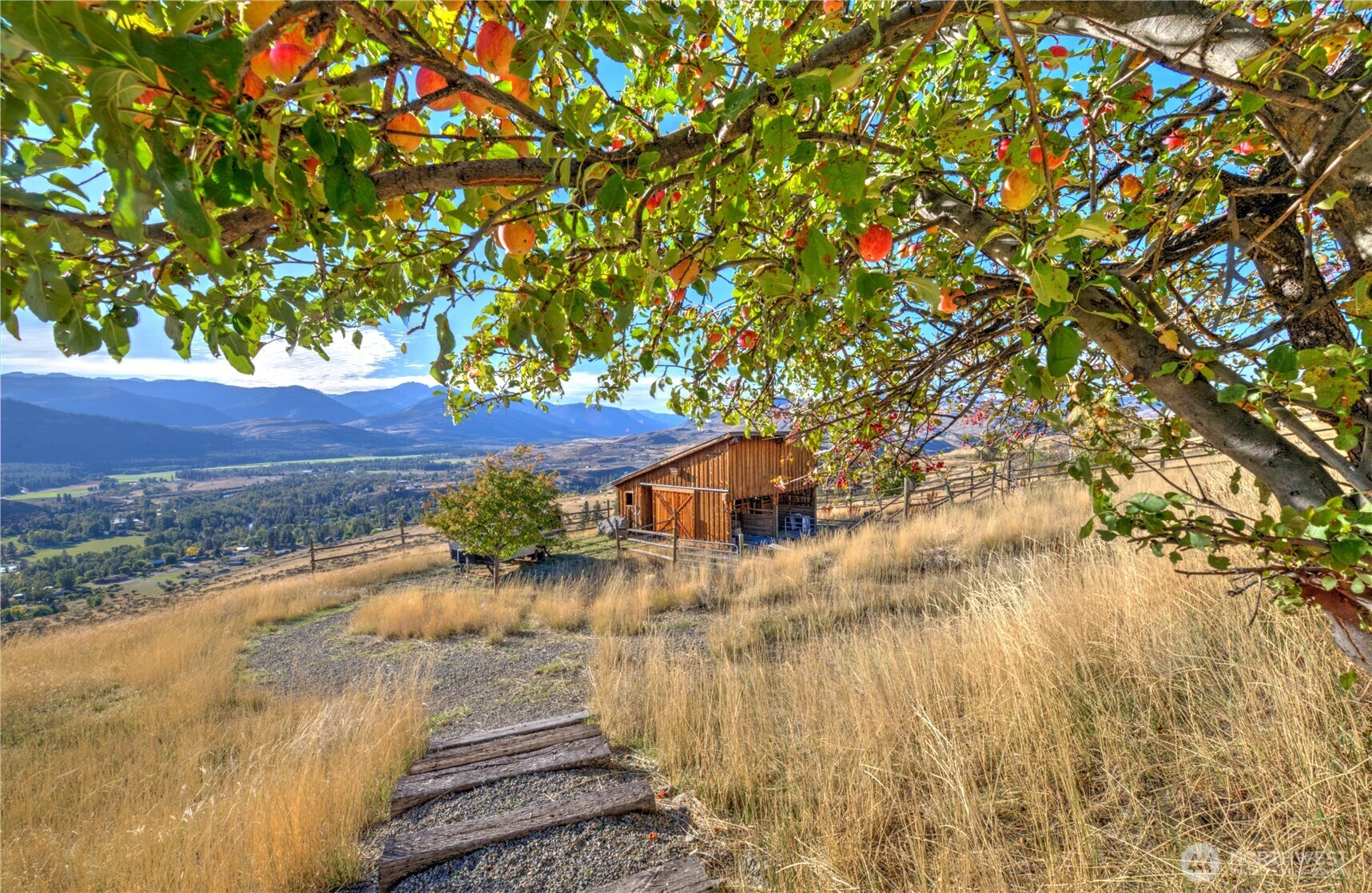 main property photo 33