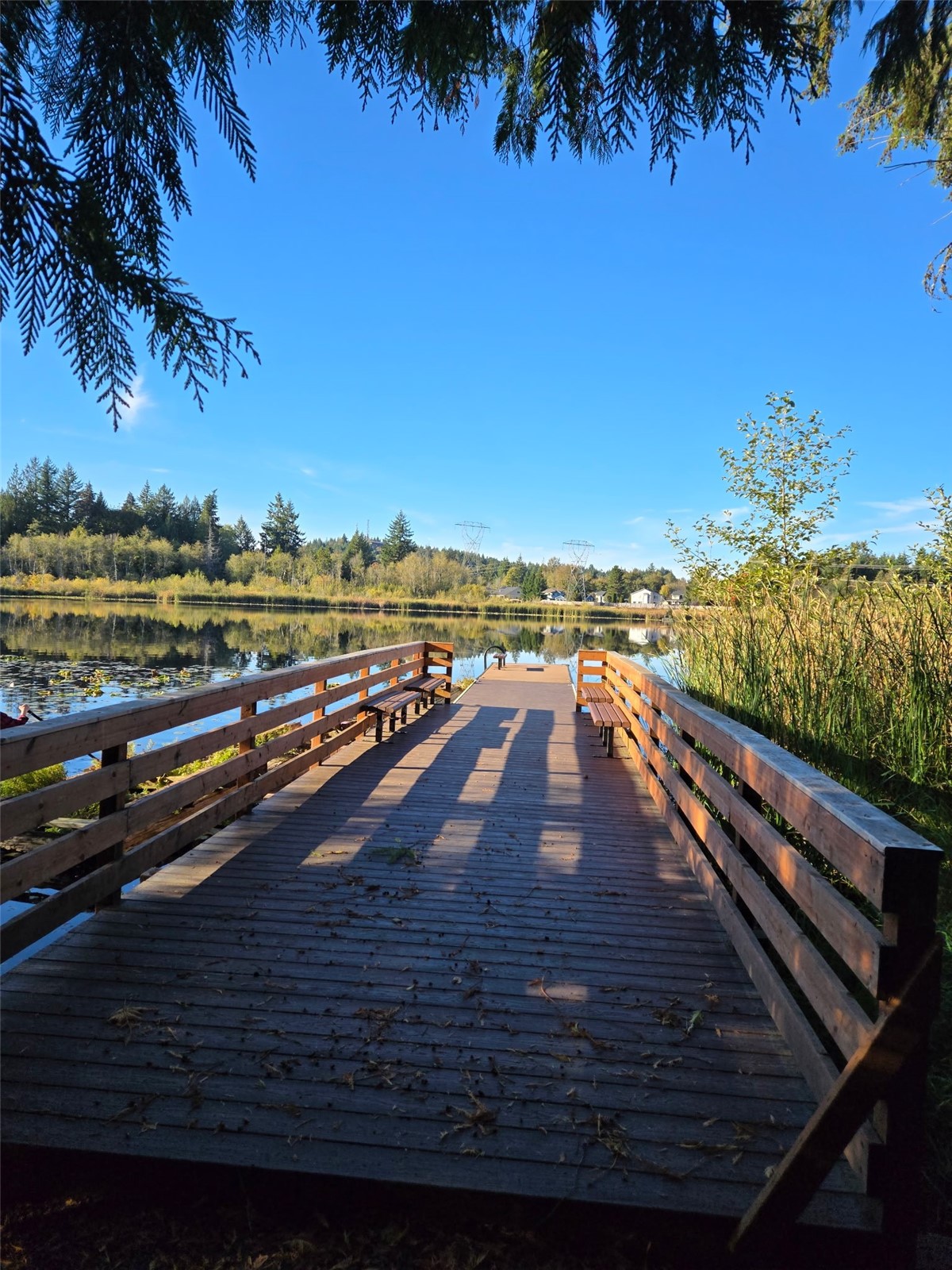 main property photo 38