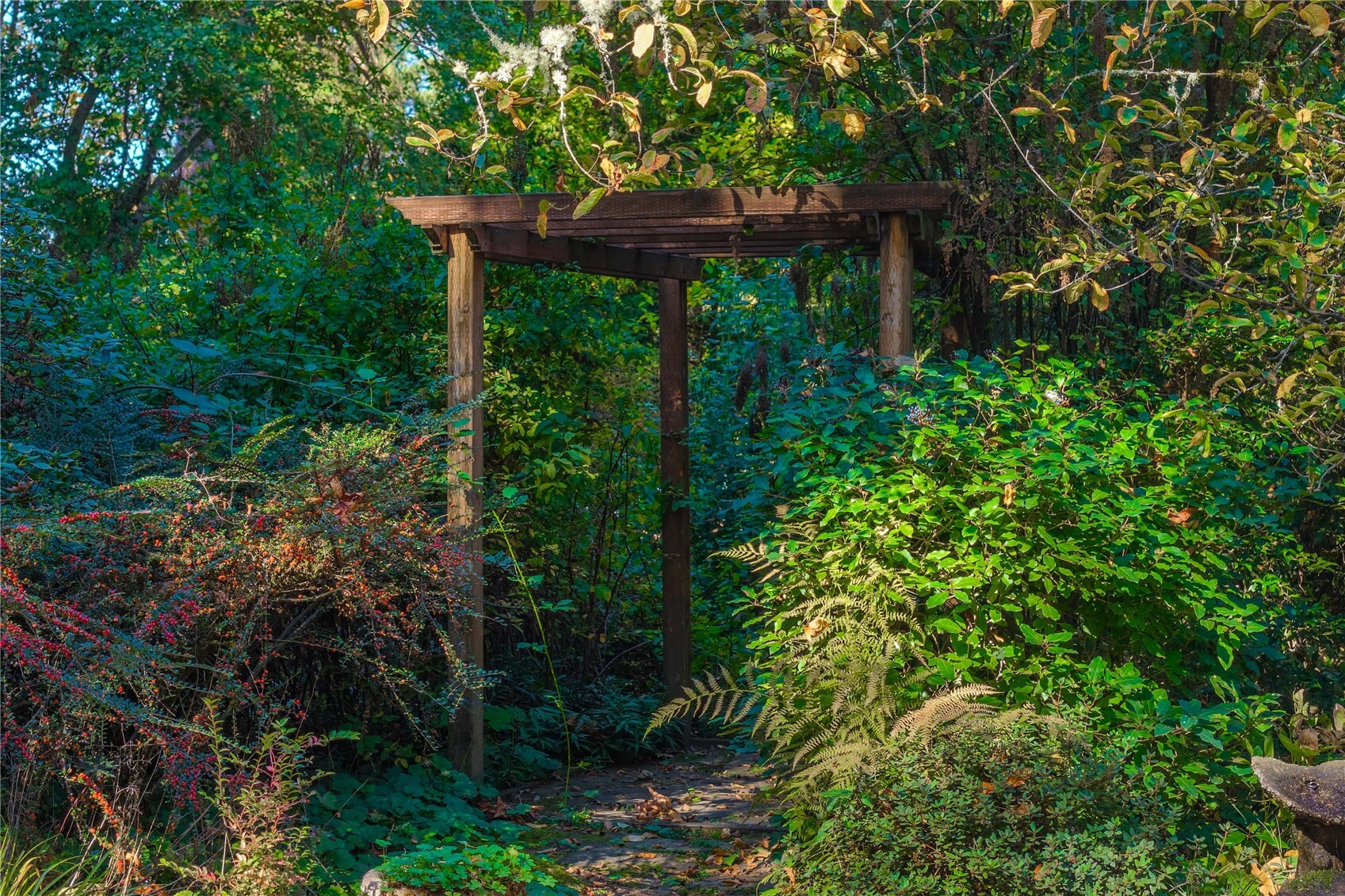 main property photo 25