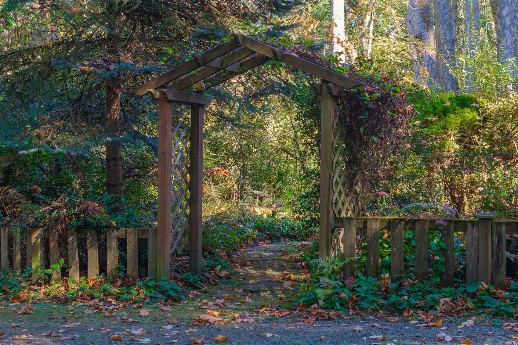 main property photo 26