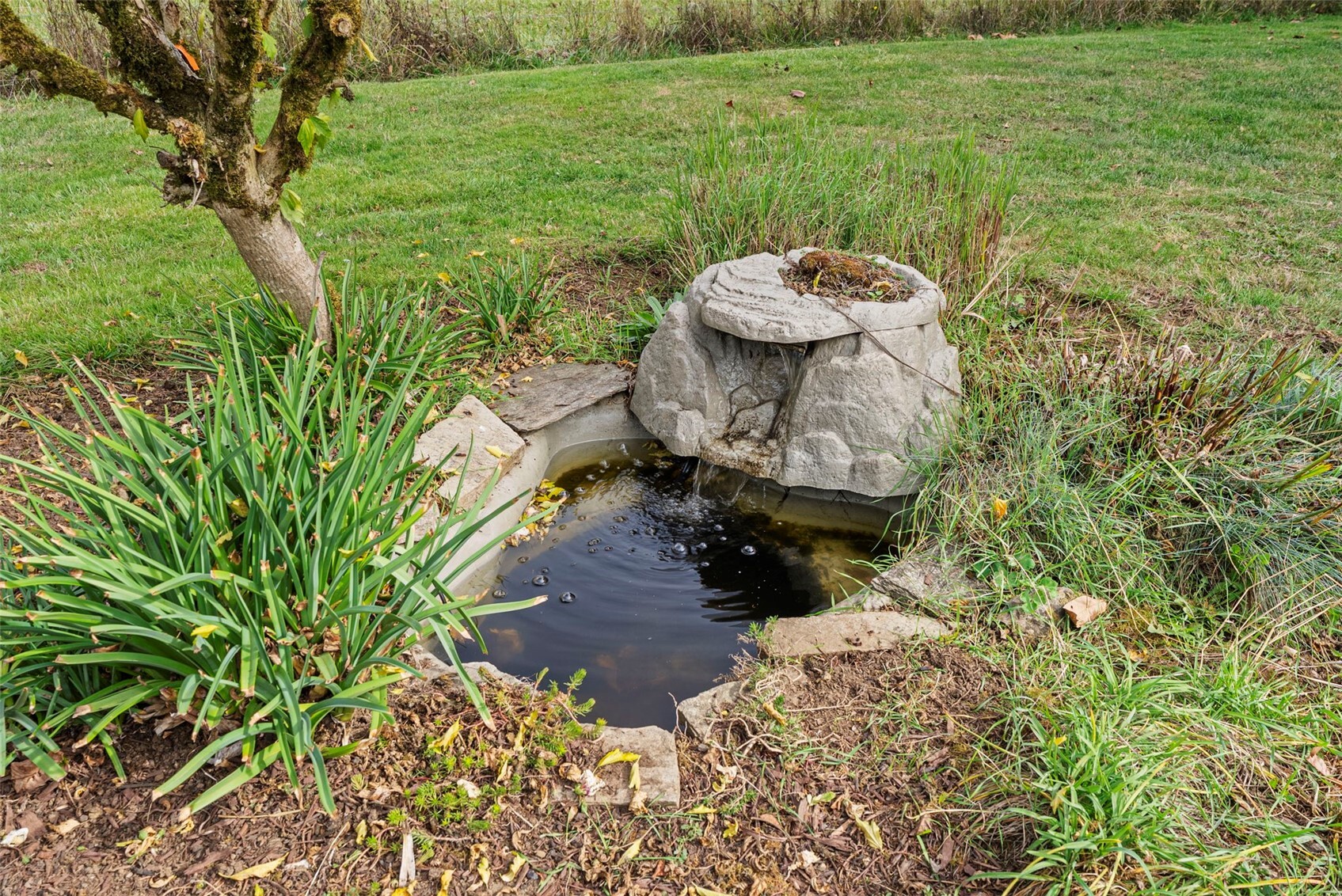main property photo 27